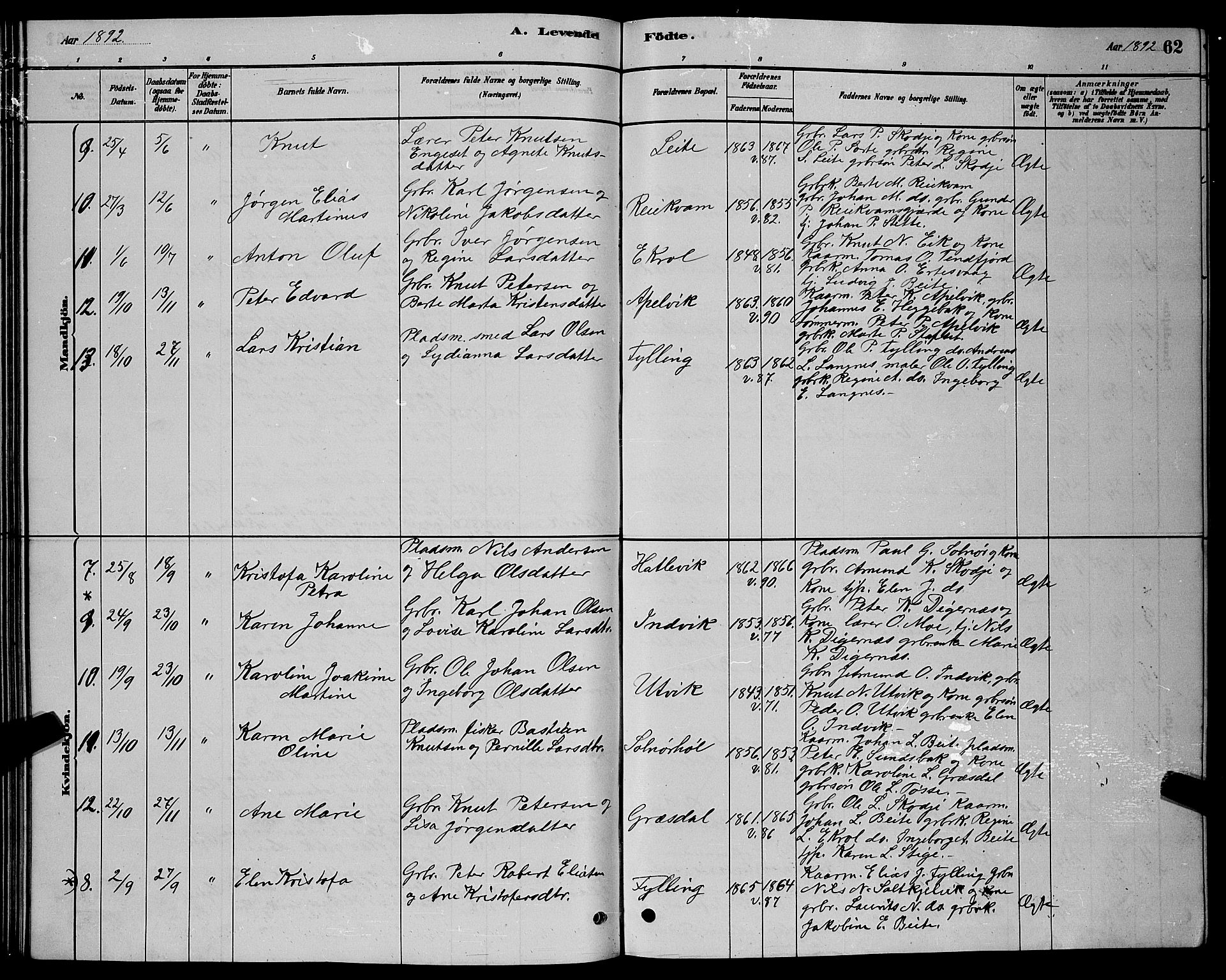 Ministerialprotokoller, klokkerbøker og fødselsregistre - Møre og Romsdal, AV/SAT-A-1454/524/L0365: Parish register (copy) no. 524C06, 1880-1899, p. 62