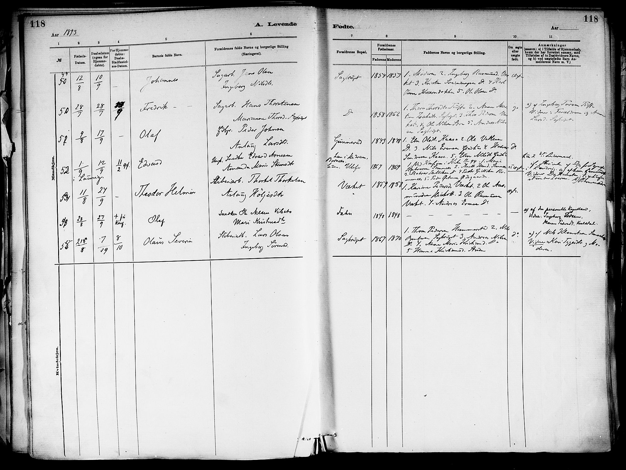 Holla kirkebøker, AV/SAKO-A-272/F/Fa/L0008: Parish register (official) no. 8, 1882-1897, p. 118