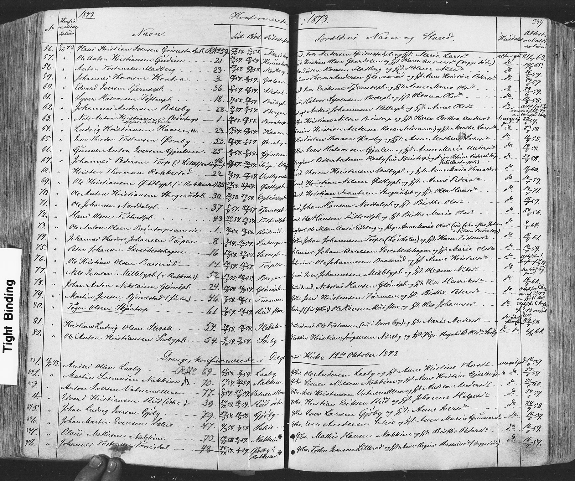 Rakkestad prestekontor Kirkebøker, AV/SAO-A-2008/F/Fa/L0011: Parish register (official) no. I 11, 1862-1877, p. 259