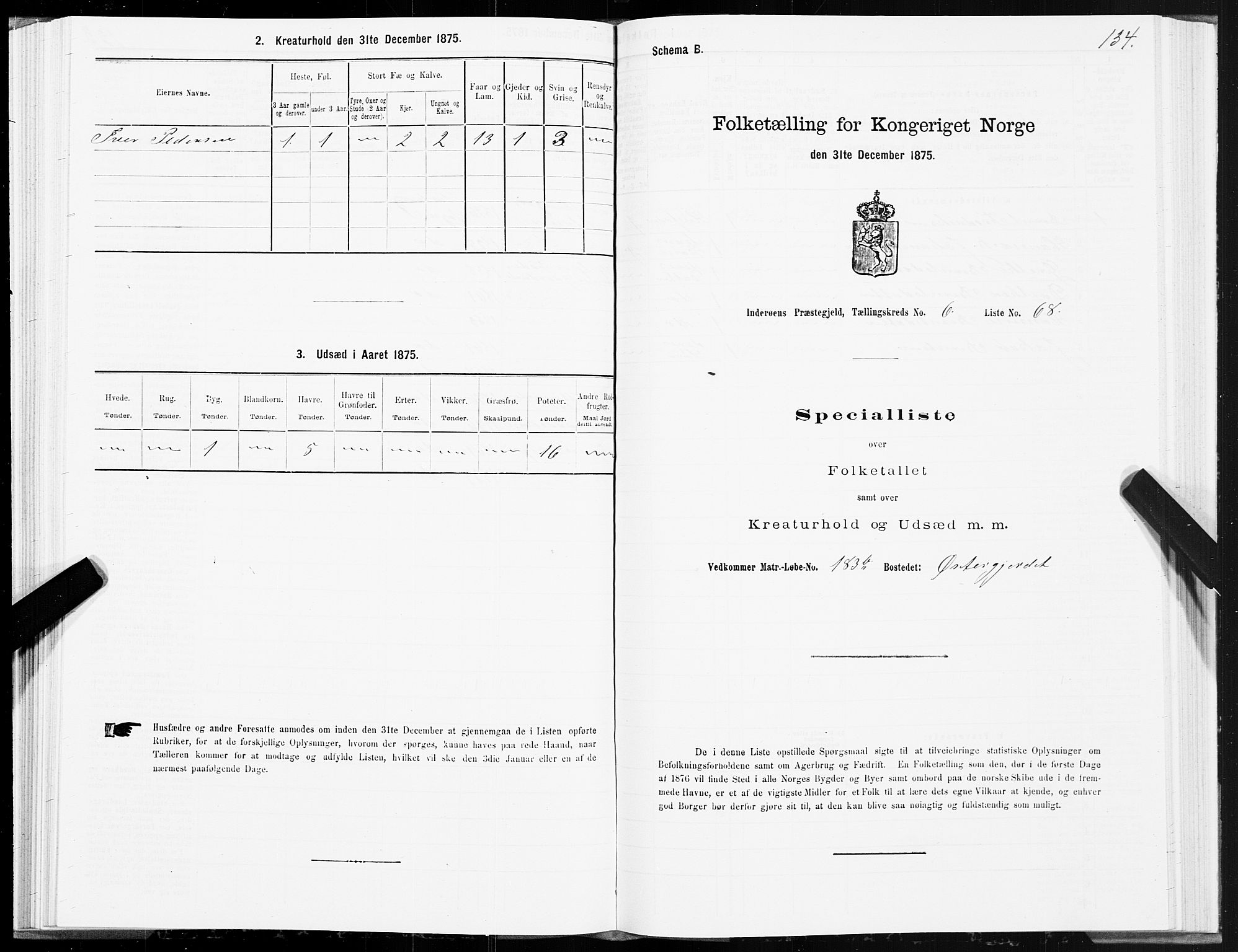 SAT, 1875 census for 1729P Inderøy, 1875, p. 4134