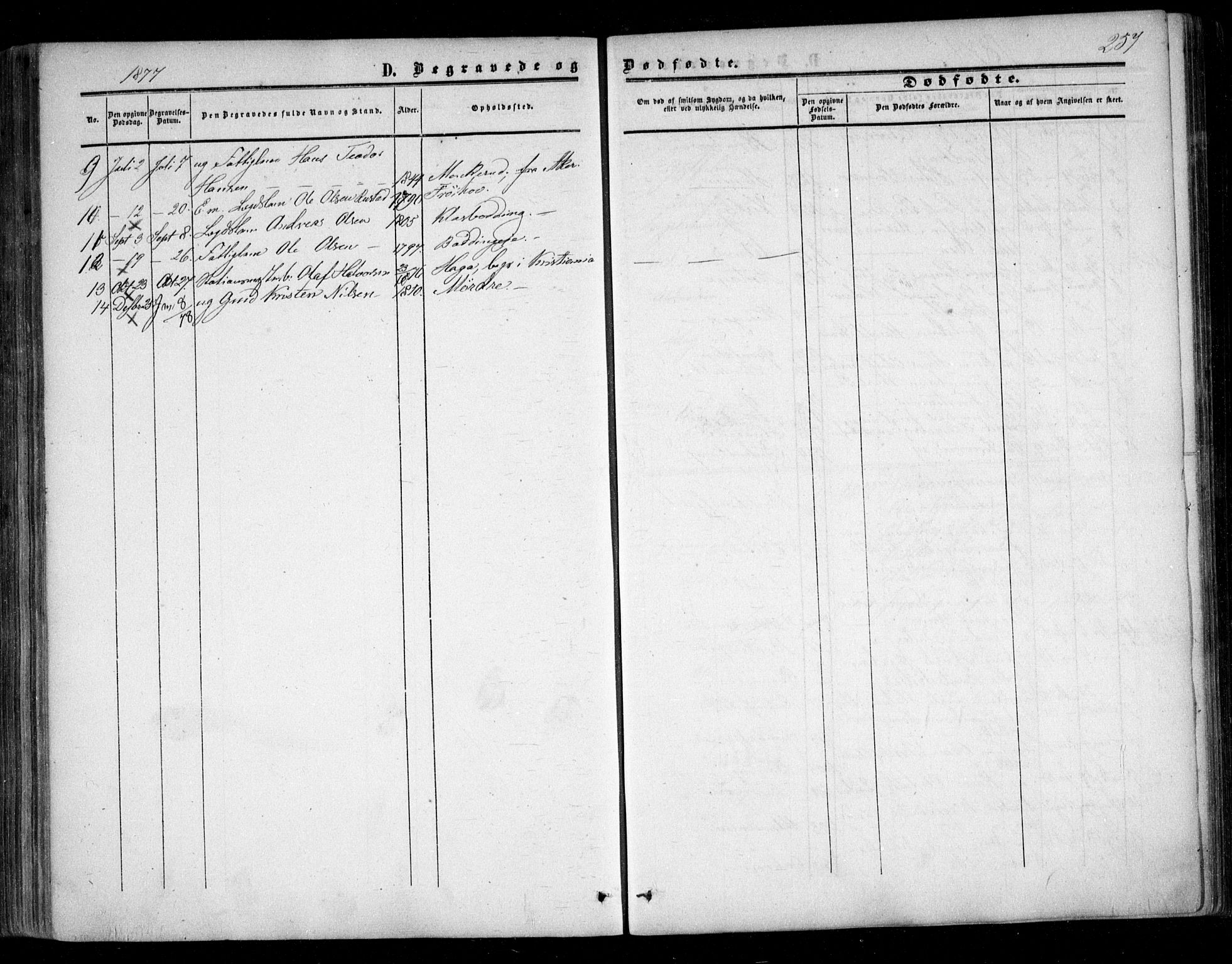 Nes prestekontor Kirkebøker, AV/SAO-A-10410/F/Fc/L0001: Parish register (official) no. III 1, 1859-1882, p. 257