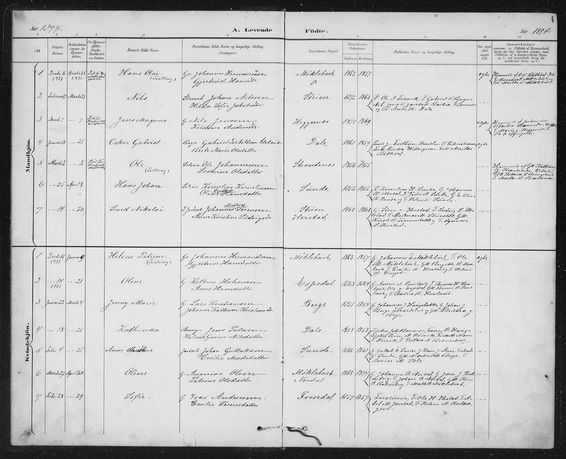 Fjaler sokneprestembete, SAB/A-79801/H/Hab/Habc/L0003: Parish register (copy) no. C 3, 1894-1917, p. 4