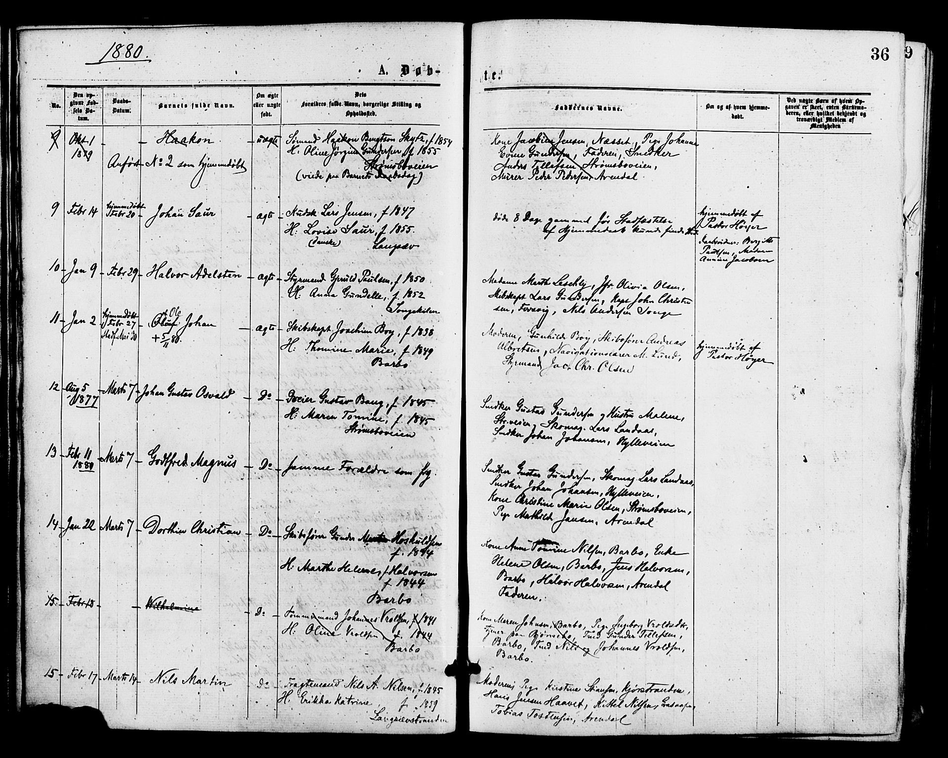 Barbu sokneprestkontor, AV/SAK-1111-0003/F/Fa/L0001: Parish register (official) no. A 1 /1, 1878-1883, p. 36