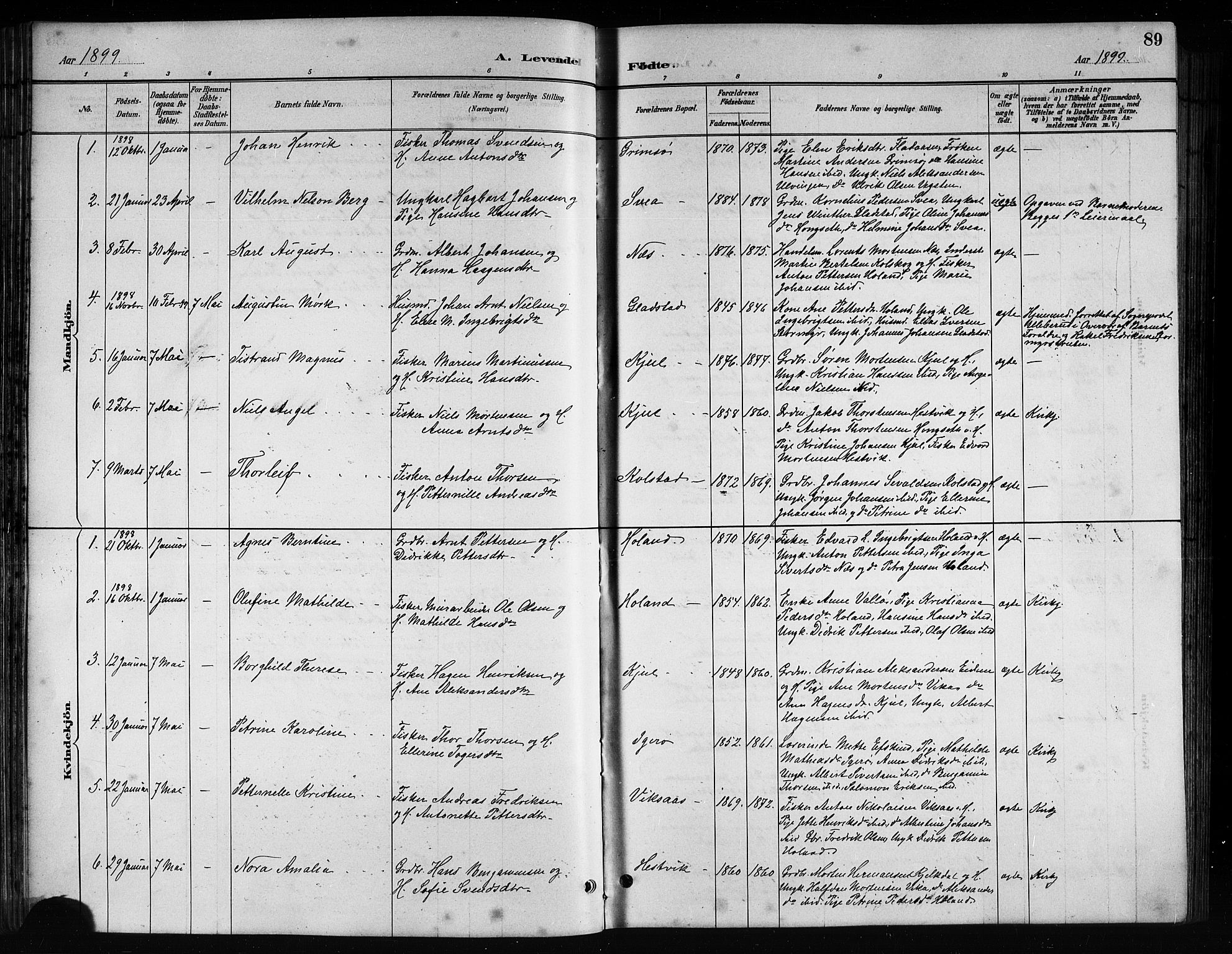 Ministerialprotokoller, klokkerbøker og fødselsregistre - Nordland, AV/SAT-A-1459/816/L0253: Parish register (copy) no. 816C03, 1886-1905, p. 89