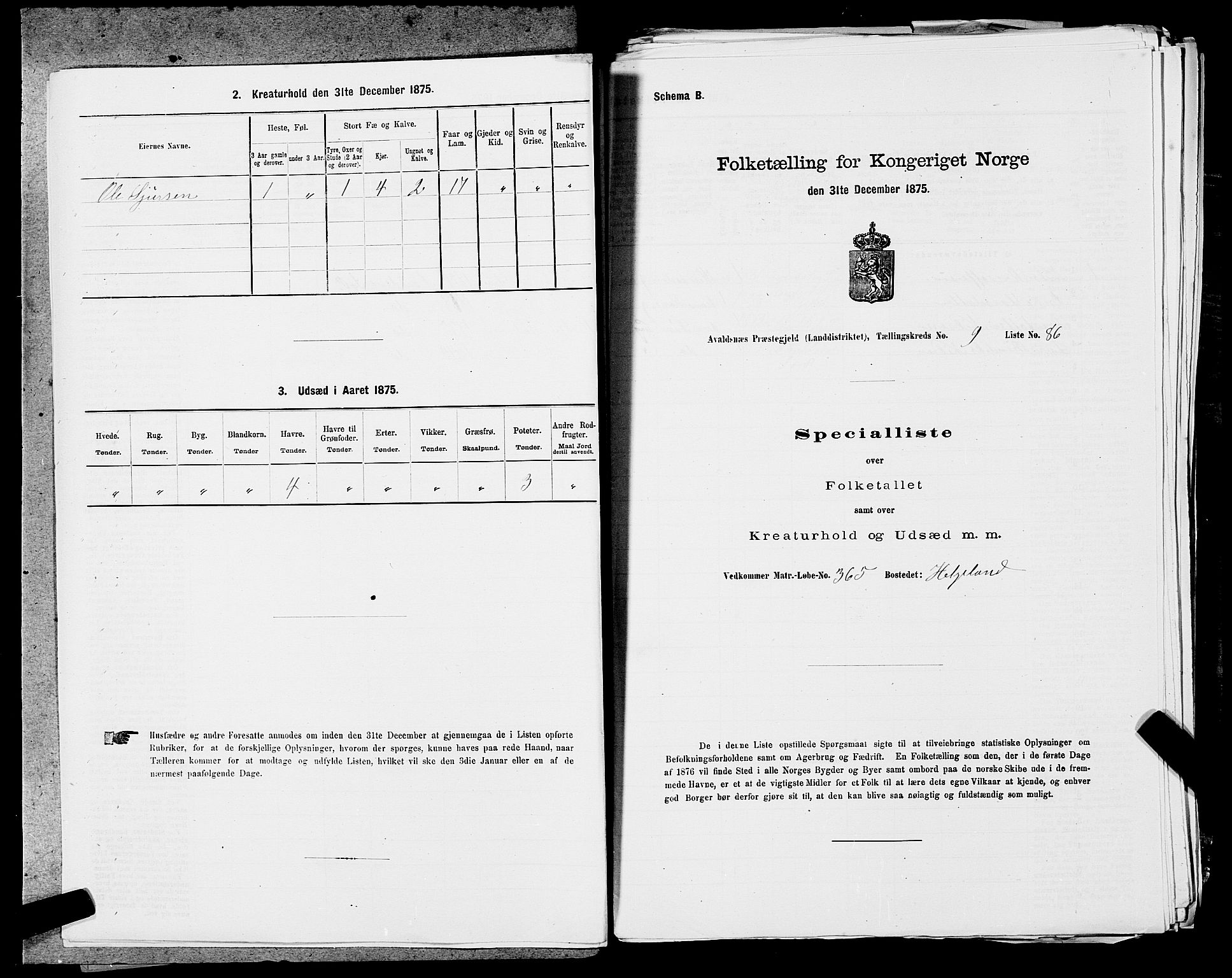 SAST, 1875 census for 1147L Avaldsnes/Avaldsnes og Kopervik, 1875, p. 1591