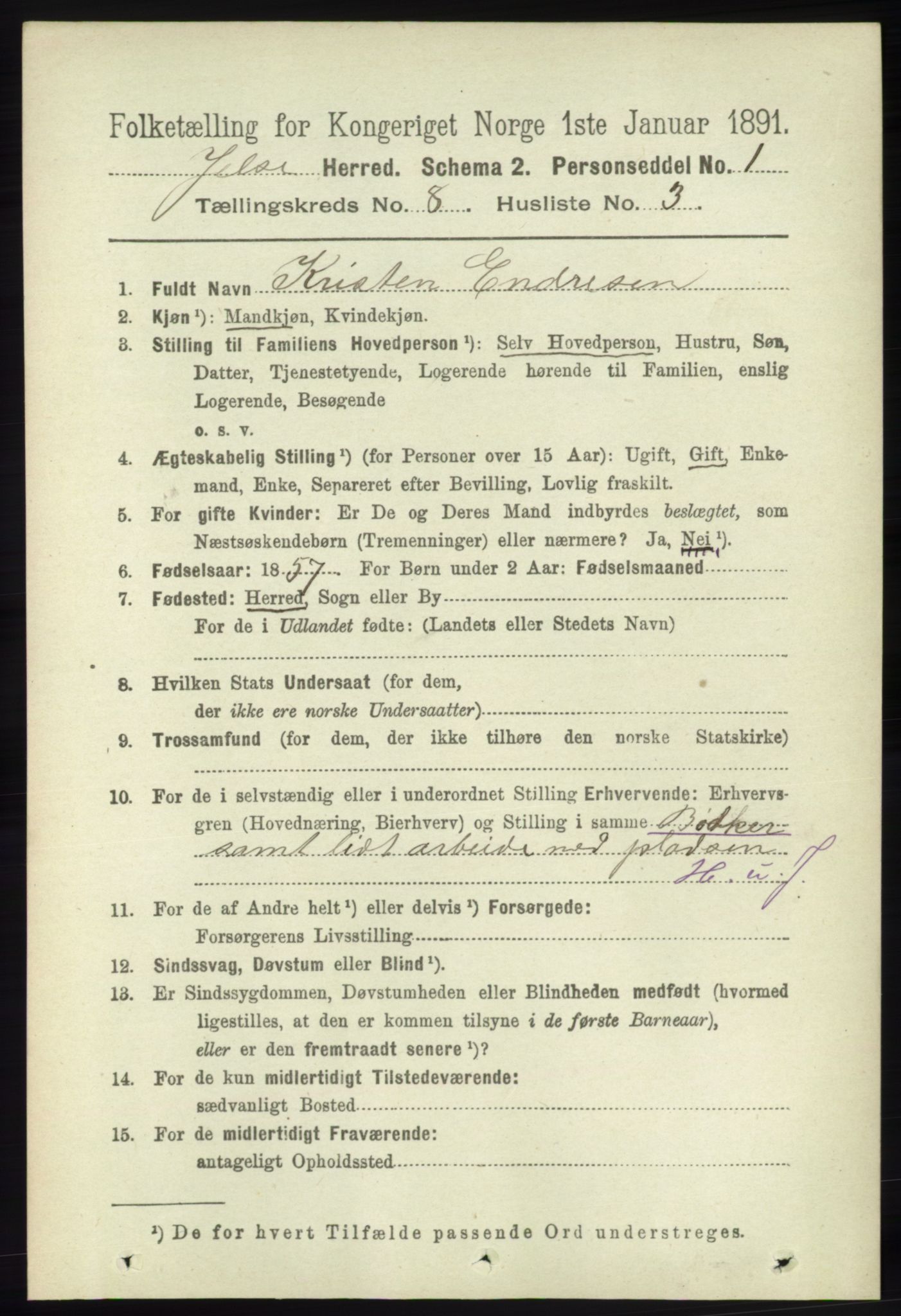 RA, 1891 census for 1138 Jelsa, 1891, p. 1814