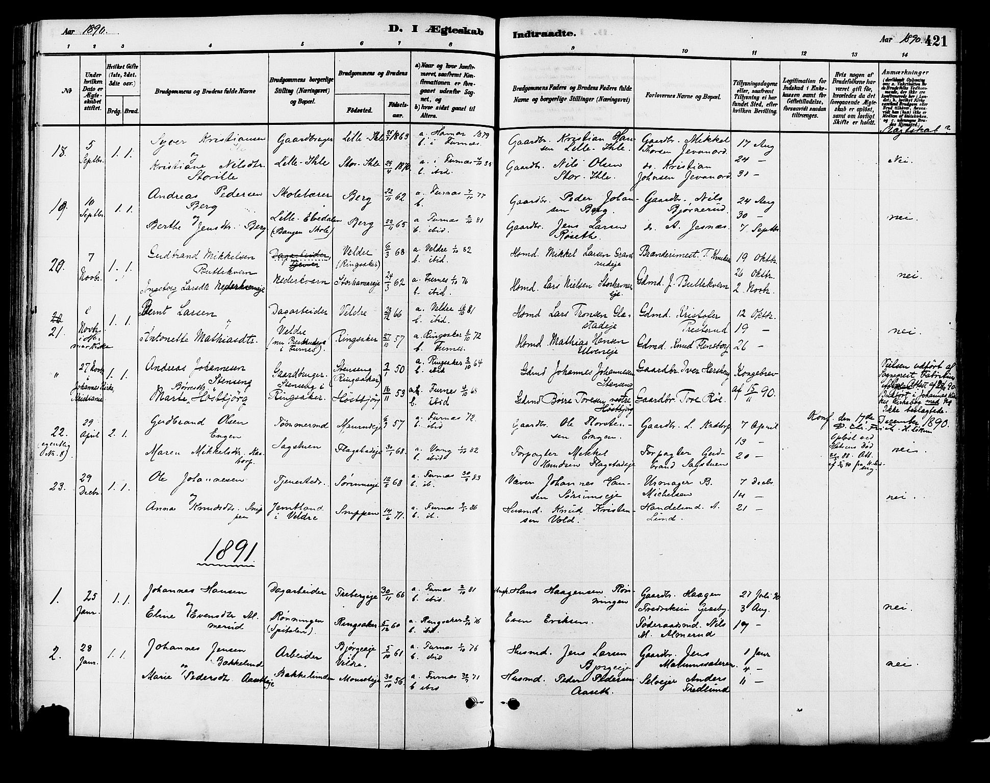 Vang prestekontor, Hedmark, SAH/PREST-008/H/Ha/Haa/L0018B: Parish register (official) no. 18B, 1880-1906, p. 421