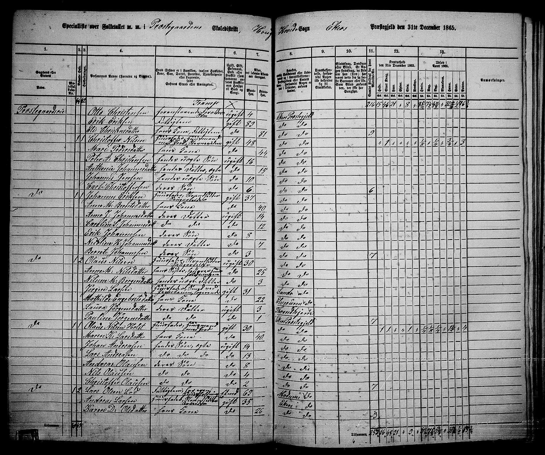 RA, 1865 census for Eiker, 1865, p. 180