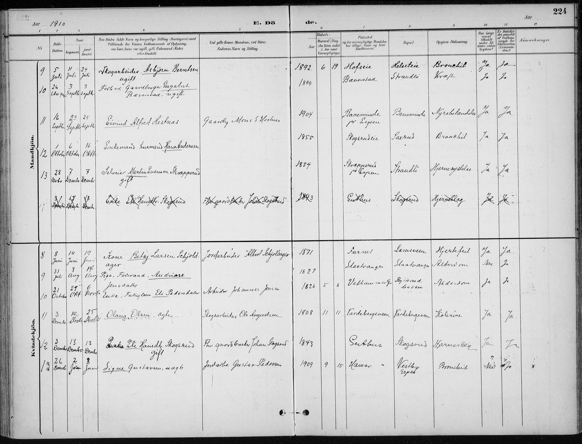 Stange prestekontor, AV/SAH-PREST-002/K/L0023: Parish register (official) no. 23, 1897-1920, p. 224