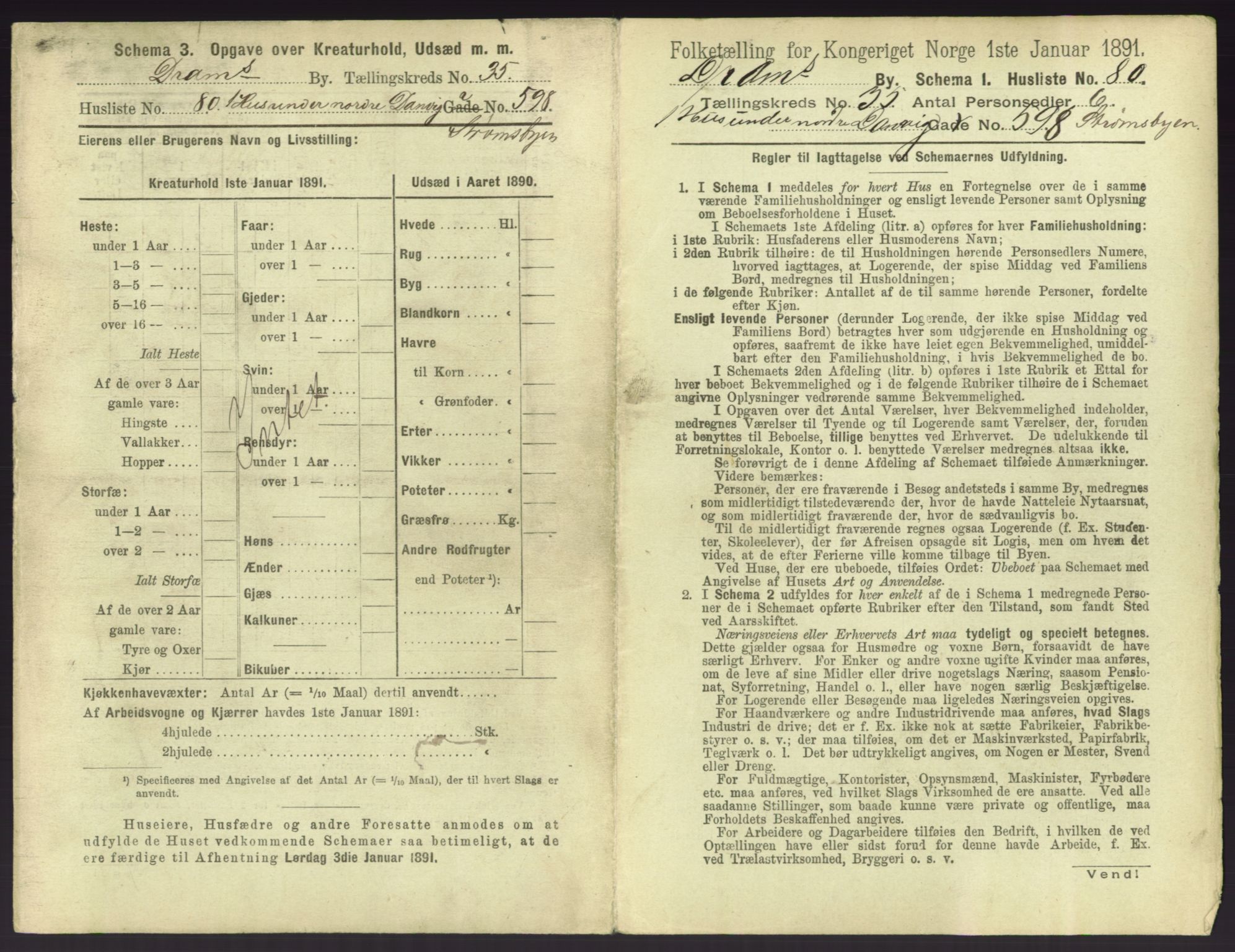 RA, 1891 census for 0602 Drammen, 1891, p. 3267