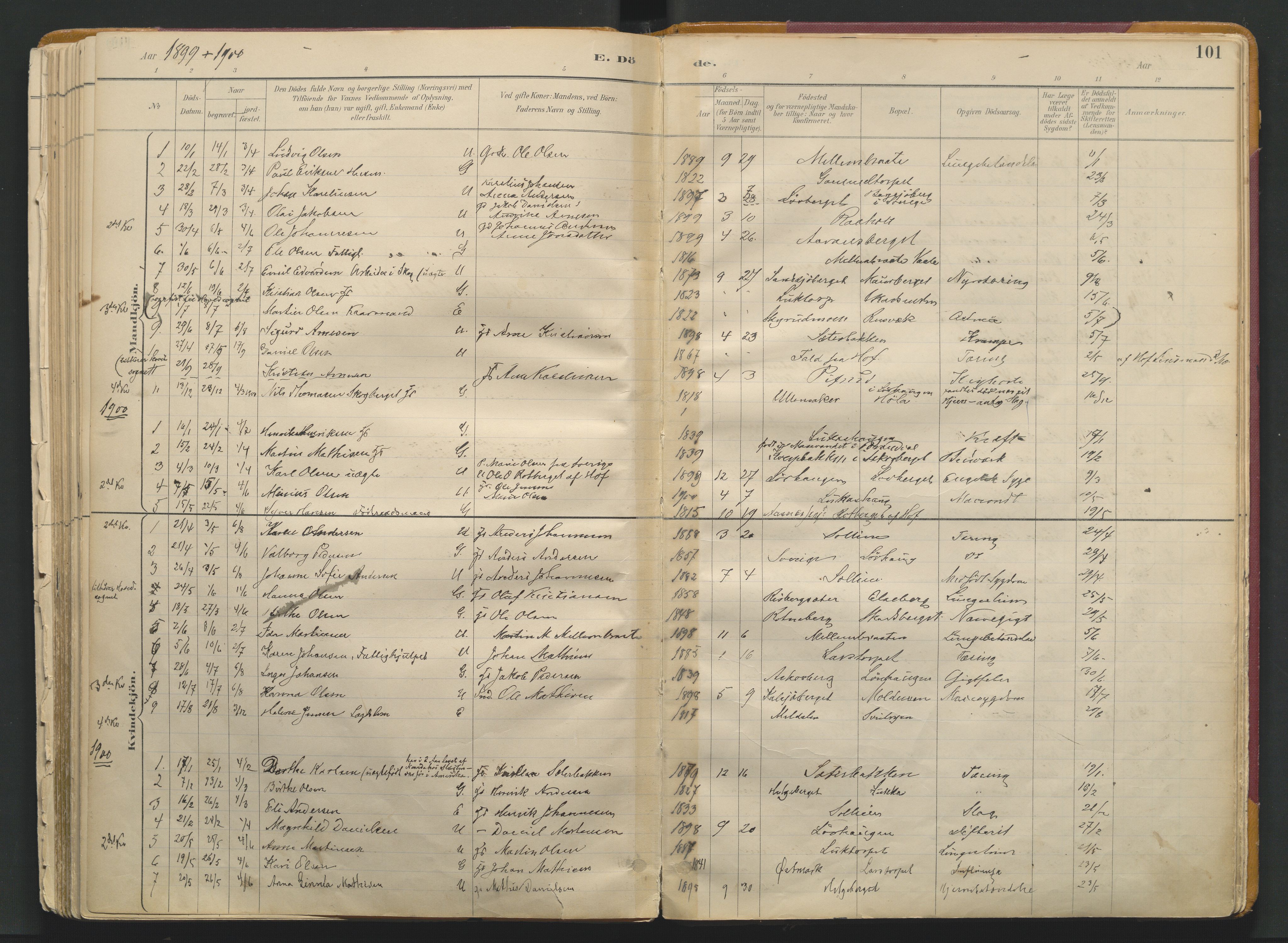 Grue prestekontor, SAH/PREST-036/H/Ha/Haa/L0017: Parish register (official) no. 17, 1892-1936, p. 101