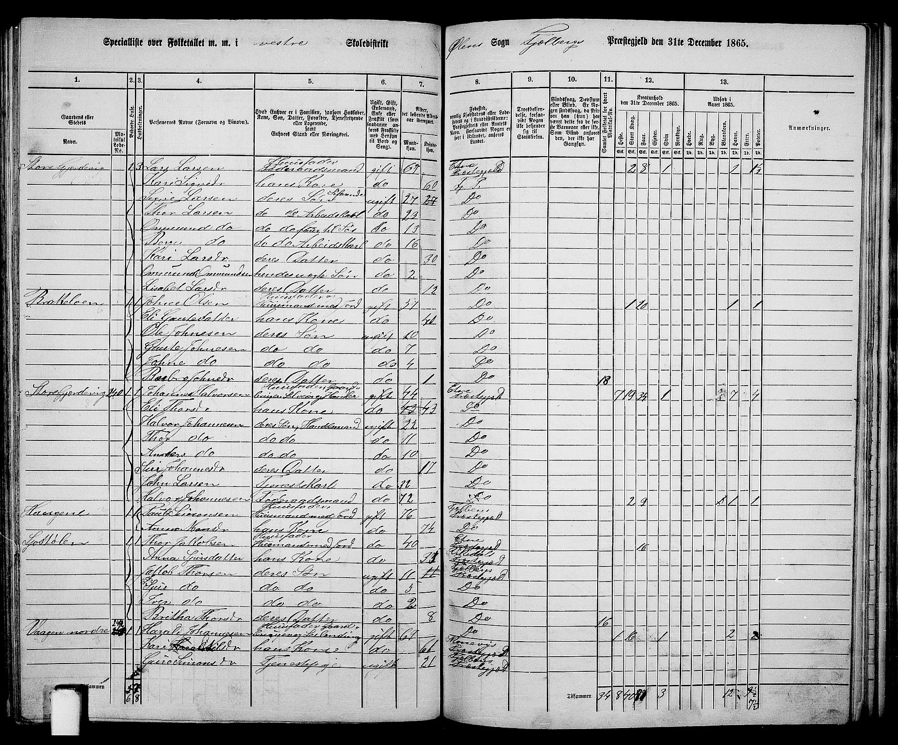 RA, 1865 census for Fjelberg, 1865, p. 141