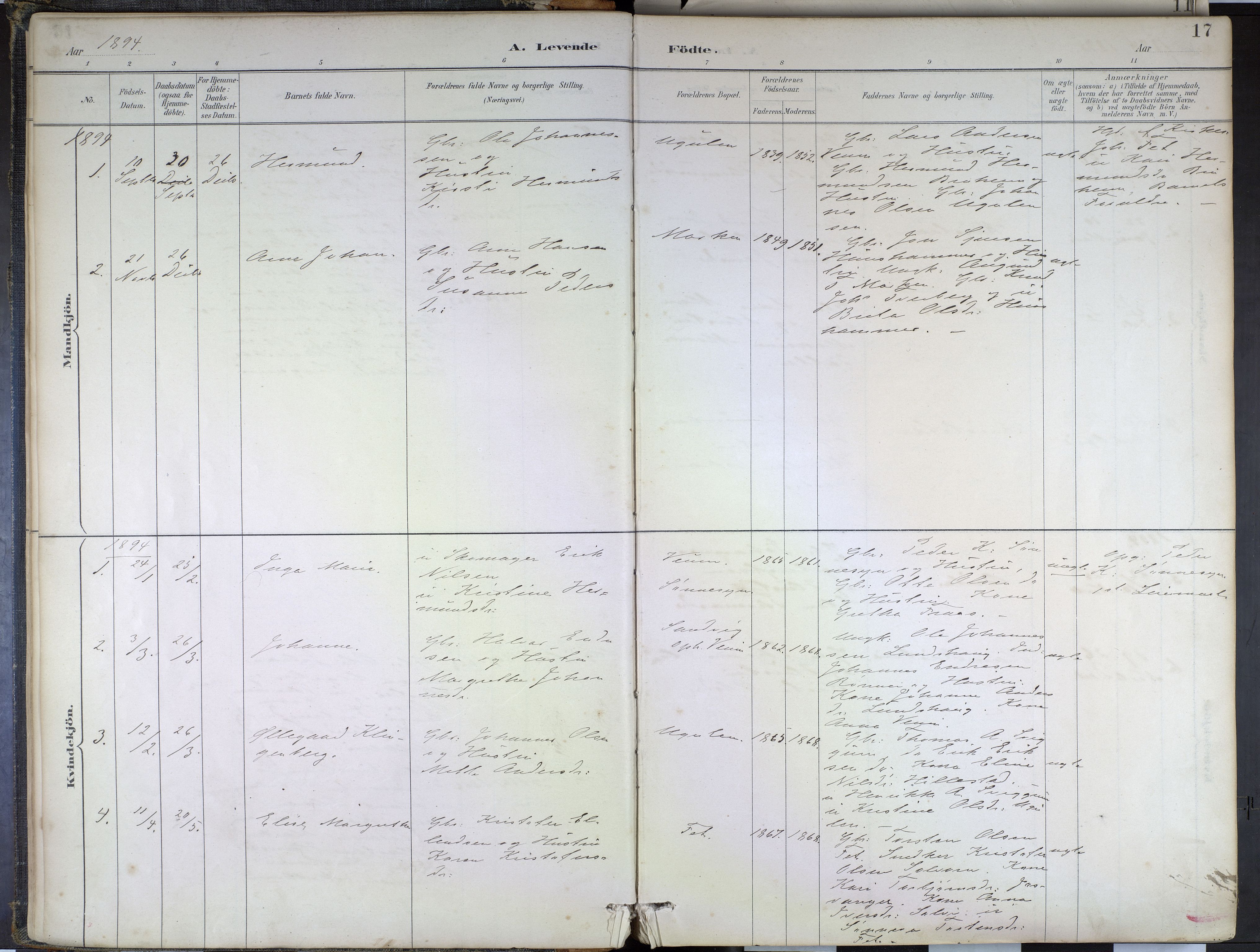 Hafslo sokneprestembete, SAB/A-80301/H/Haa/Haad/L0001: Parish register (official) no. D 1, 1886-1934, p. 17