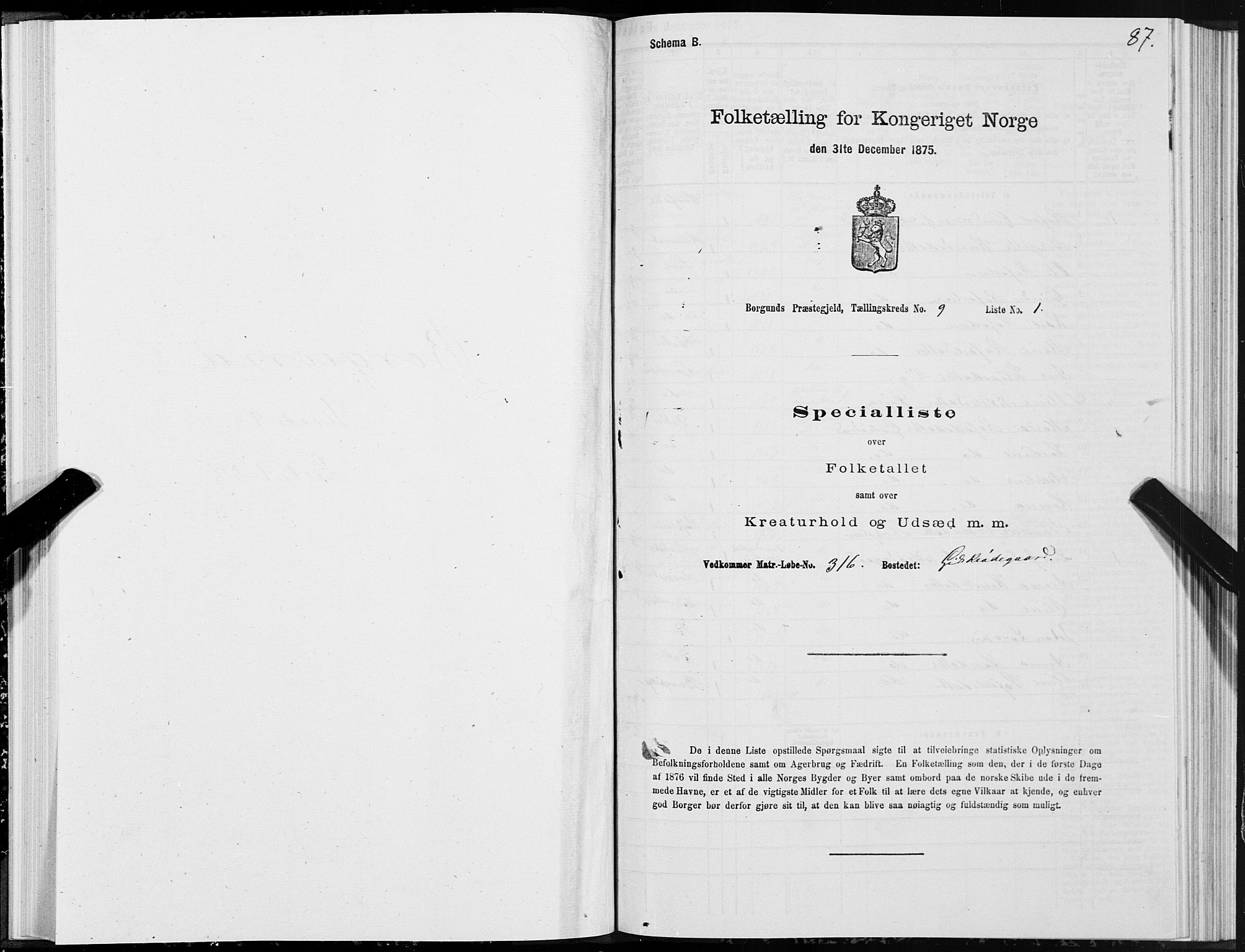 SAT, 1875 census for 1531P Borgund, 1875, p. 5087