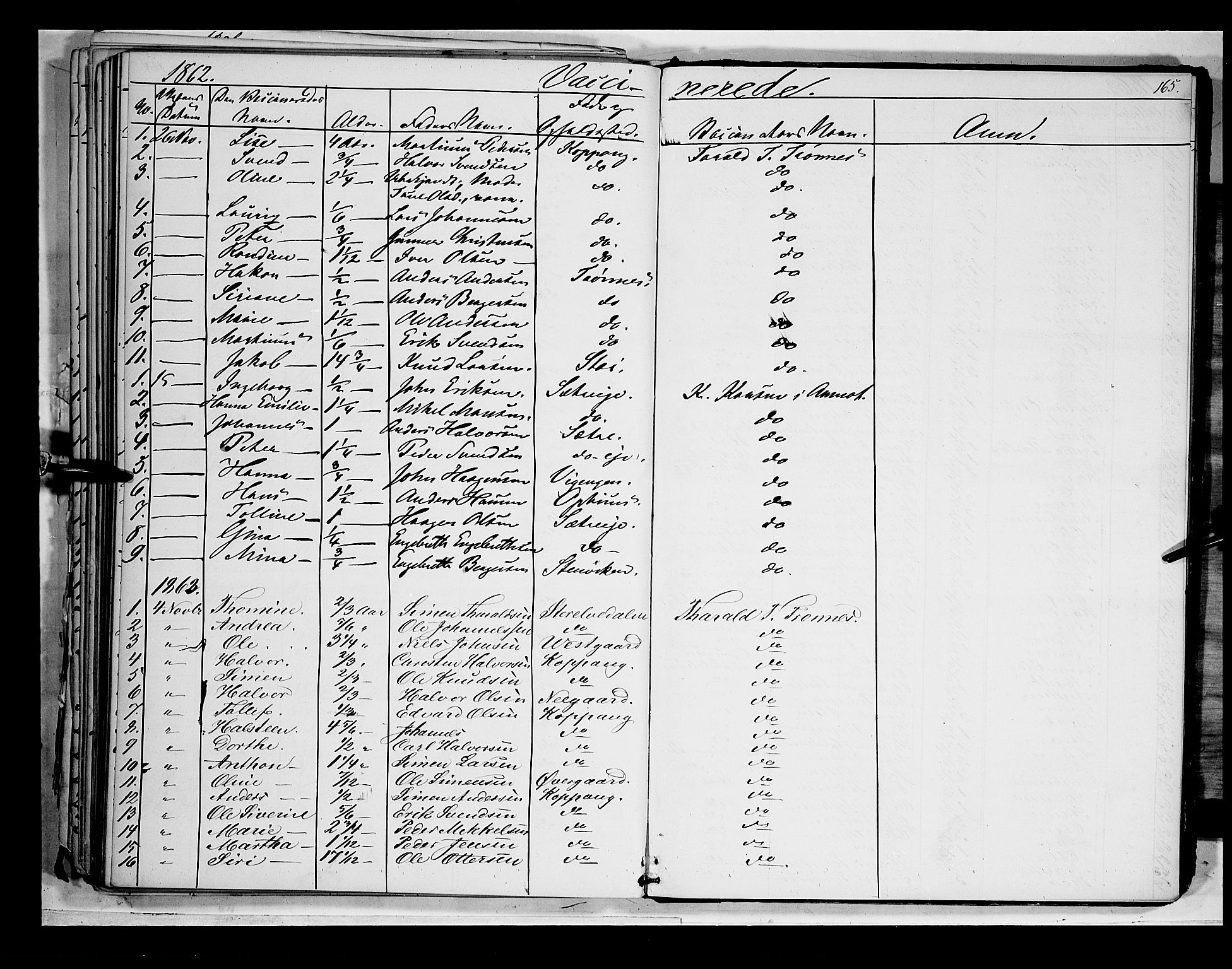 Åmot prestekontor, Hedmark, SAH/PREST-056/H/Ha/Haa/L0007: Parish register (official) no. 7, 1860-1870, p. 165