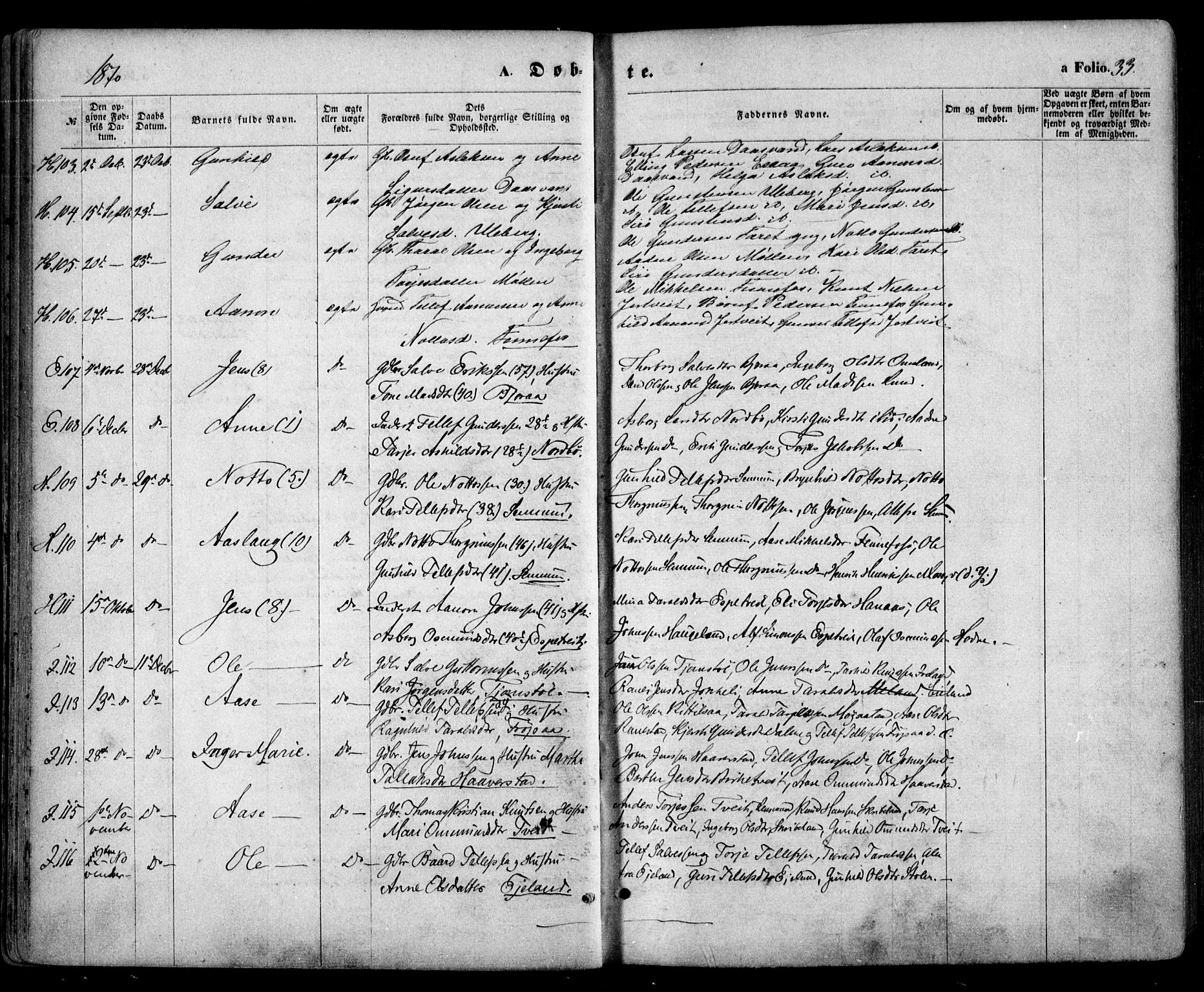 Evje sokneprestkontor, AV/SAK-1111-0008/F/Fa/Faa/L0006: Parish register (official) no. A 6, 1866-1884, p. 33