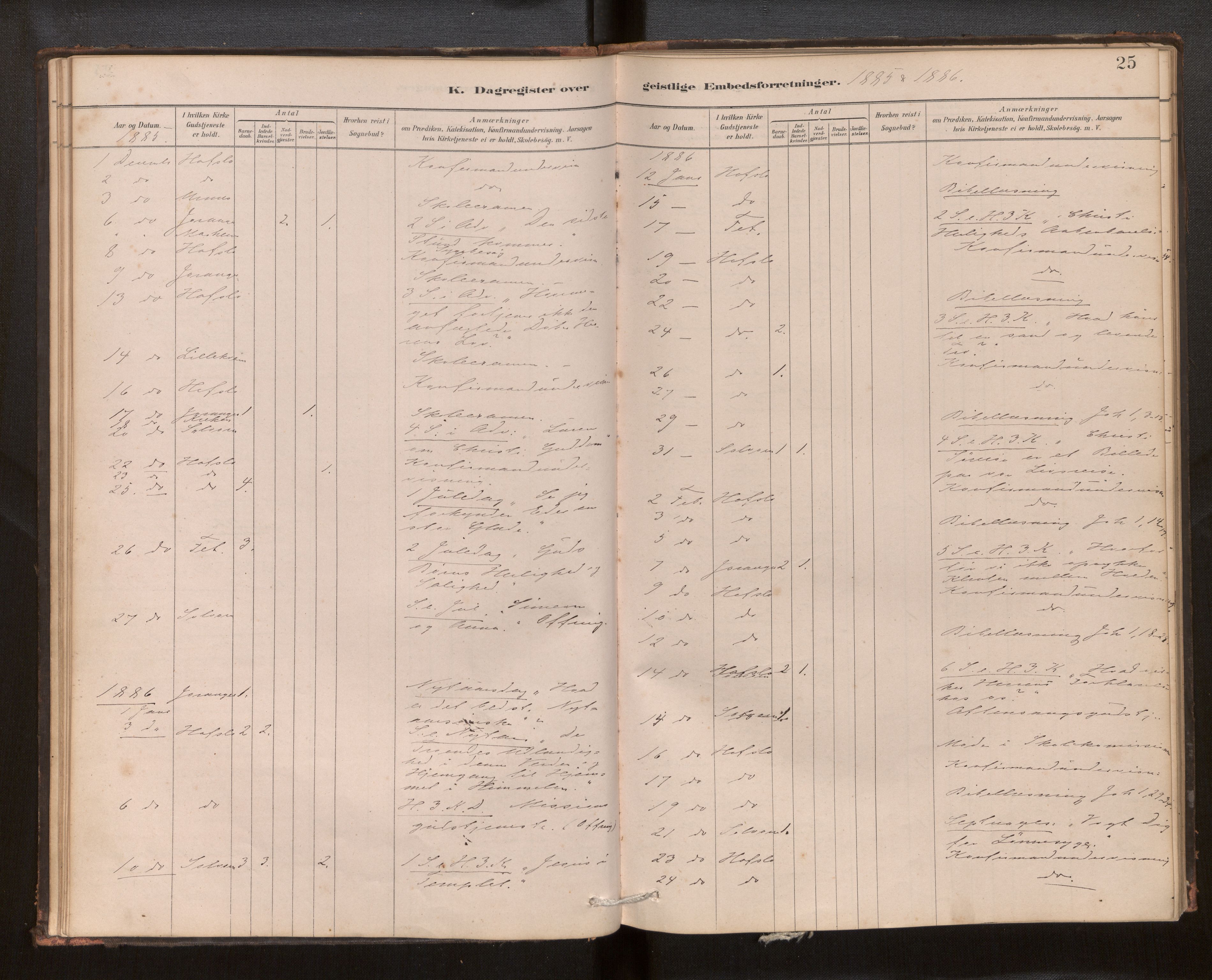 Hafslo sokneprestembete, SAB/A-80301/H/Haa/Haaf/L0003: Diary records no. F 3, 1879-1909, p. 25