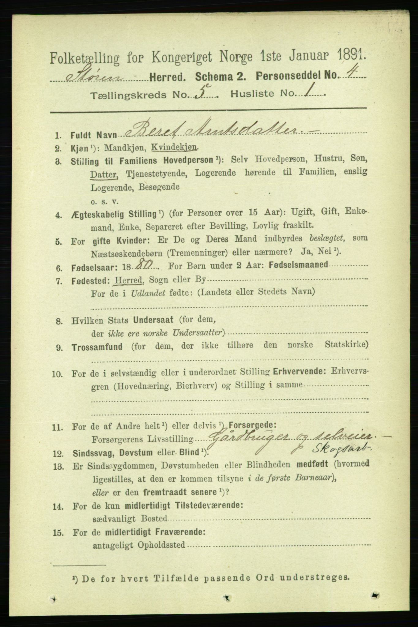 RA, 1891 census for 1648 Støren, 1891, p. 1933