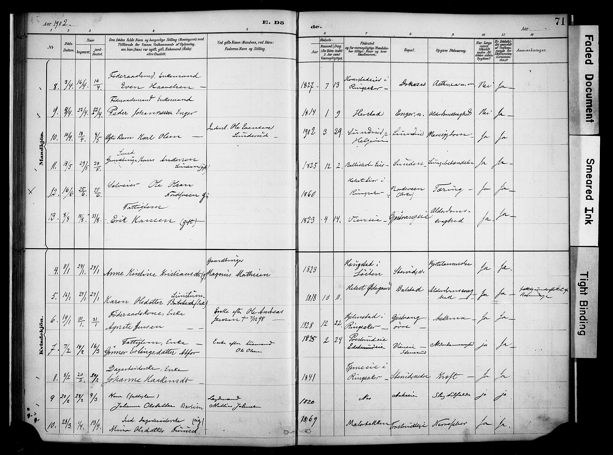 Nes prestekontor, Hedmark, AV/SAH-PREST-020/K/Ka/L0011: Parish register (official) no. 11, 1887-1905, p. 71