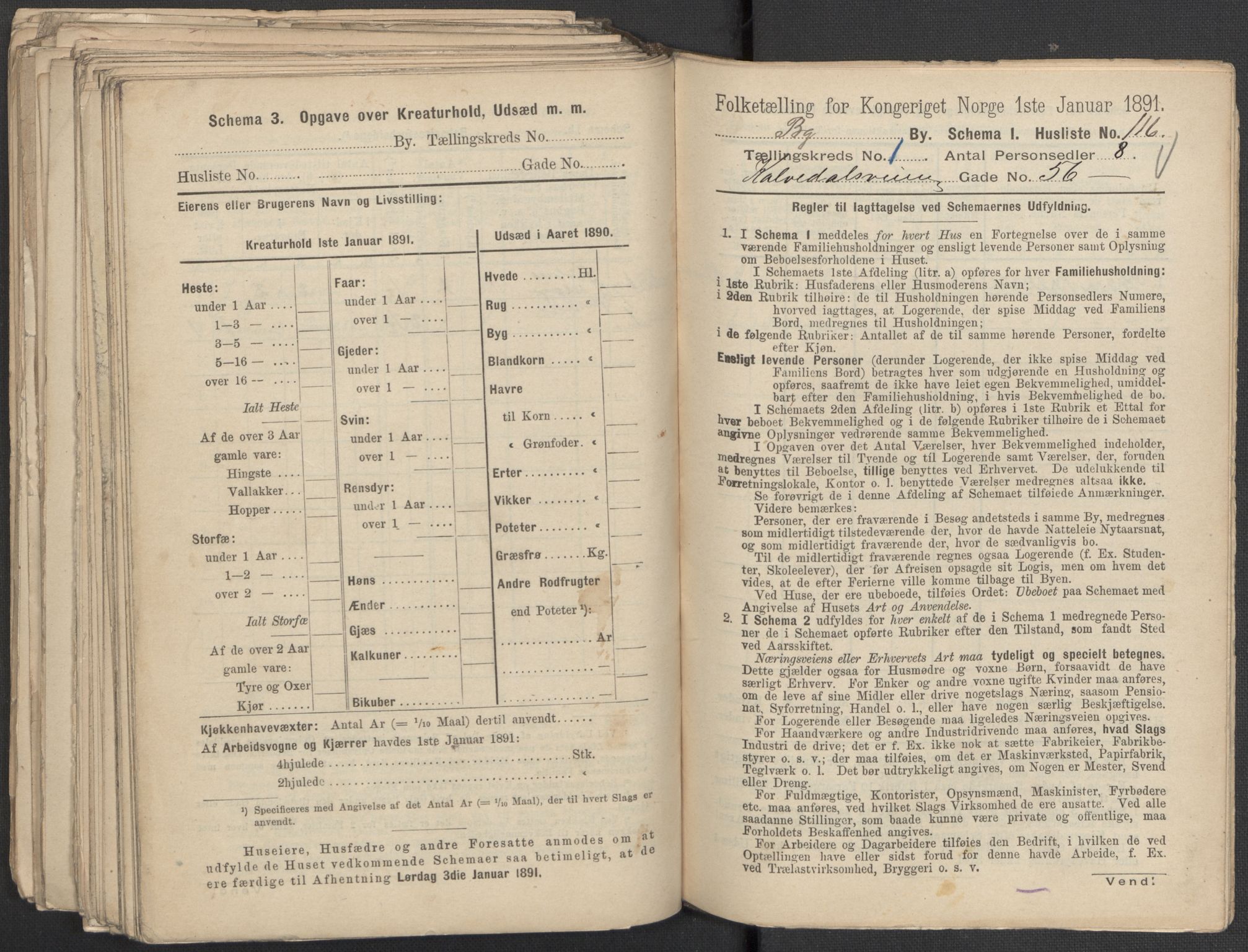 RA, 1891 Census for 1301 Bergen, 1891, p. 376