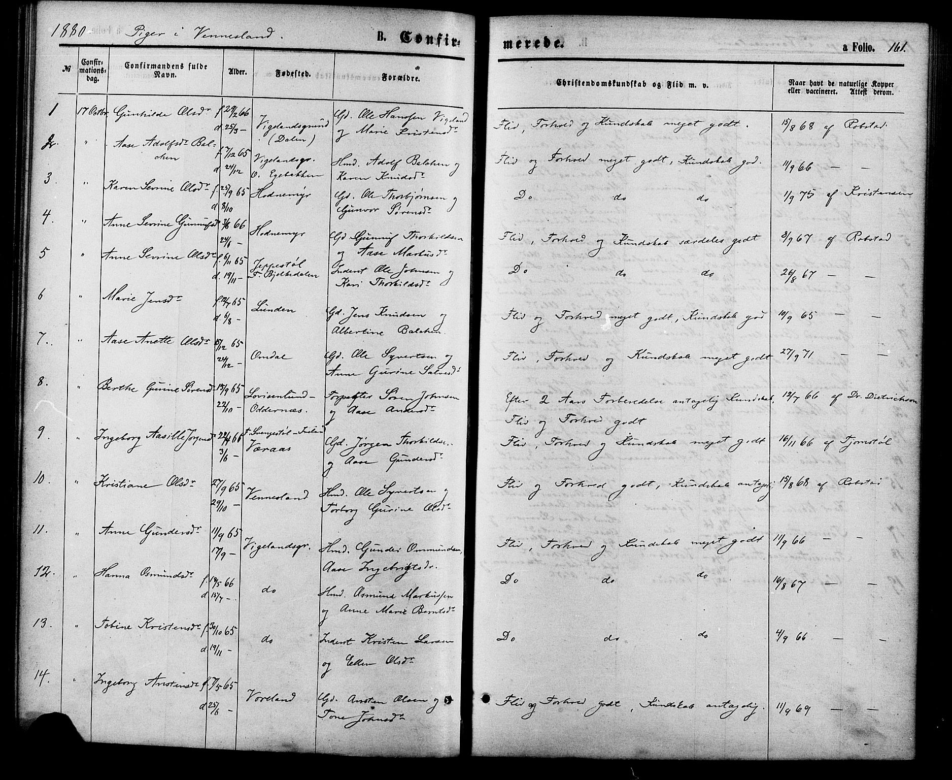 Vennesla sokneprestkontor, AV/SAK-1111-0045/Fa/Fac/L0008: Parish register (official) no. A 8, 1874-1883, p. 161