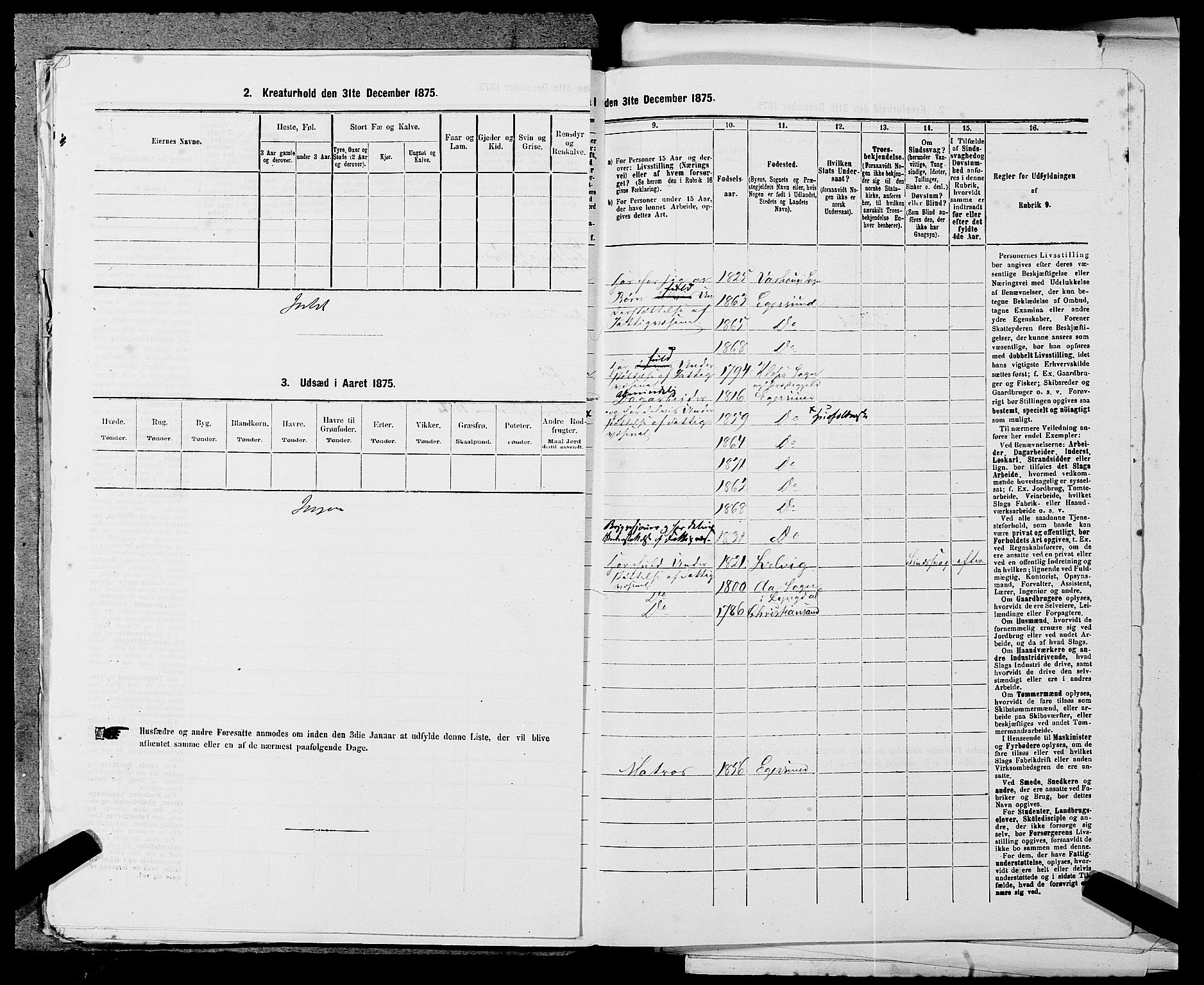 SAST, 1875 census for 1101B Eigersund parish, Egersund town, 1875, p. 196