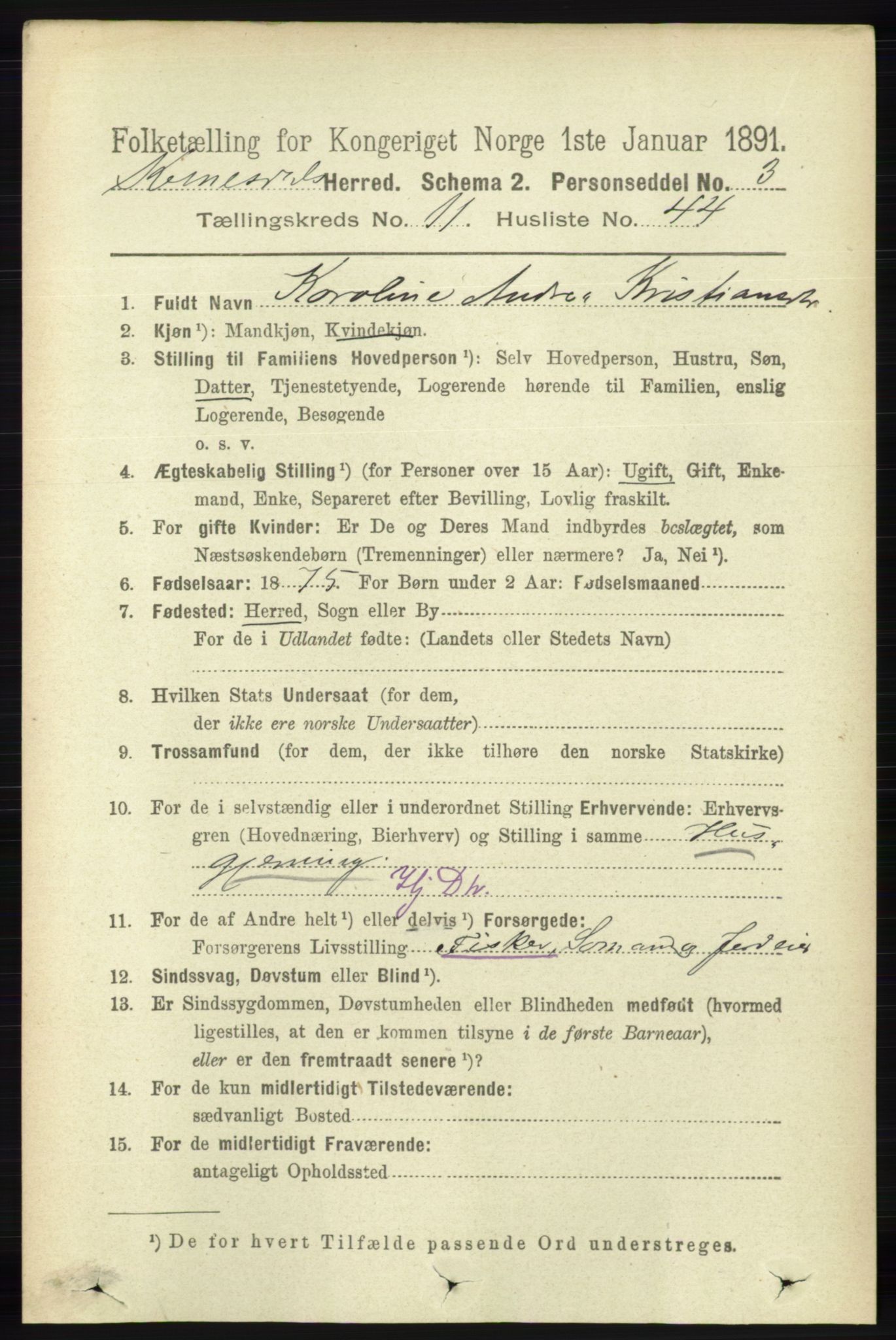 RA, 1891 census for 1037 Kvinesdal, 1891, p. 4736