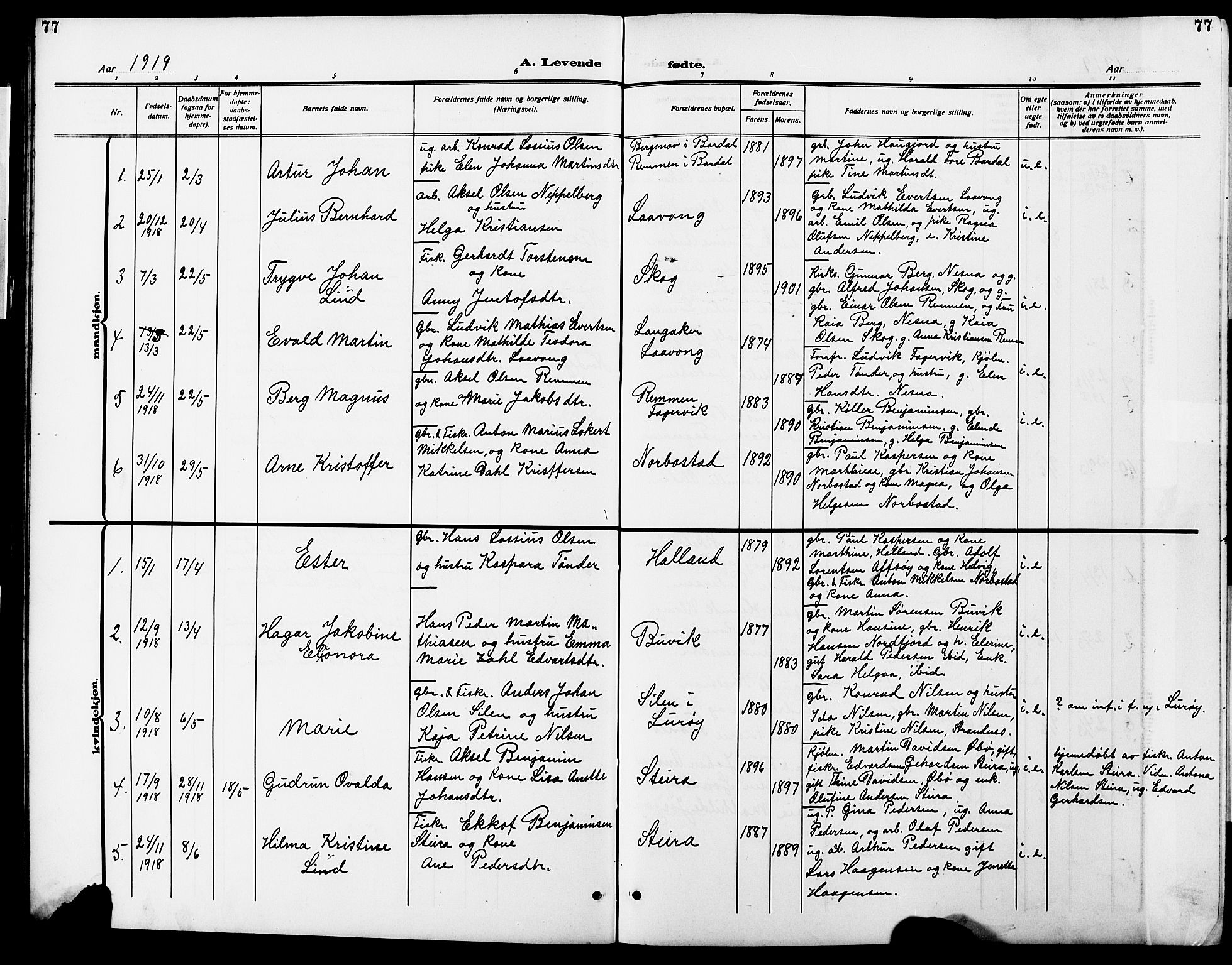 Ministerialprotokoller, klokkerbøker og fødselsregistre - Nordland, SAT/A-1459/838/L0560: Parish register (copy) no. 838C07, 1910-1928, p. 77