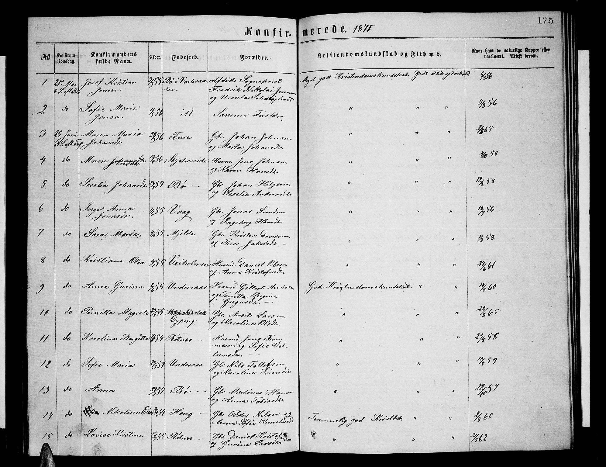 Ministerialprotokoller, klokkerbøker og fødselsregistre - Nordland, AV/SAT-A-1459/855/L0815: Parish register (copy) no. 855C04, 1865-1878, p. 175