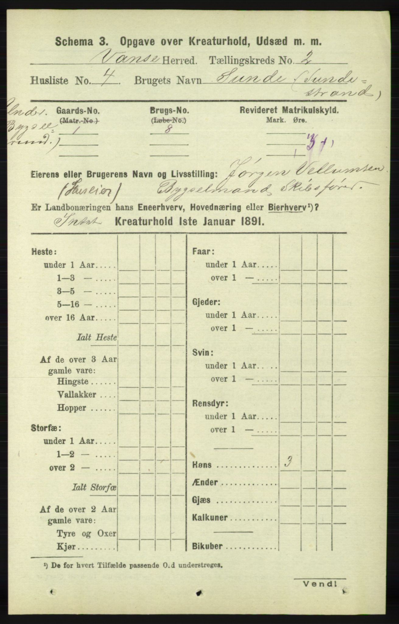 RA, 1891 census for 1041 Vanse, 1891, p. 7968