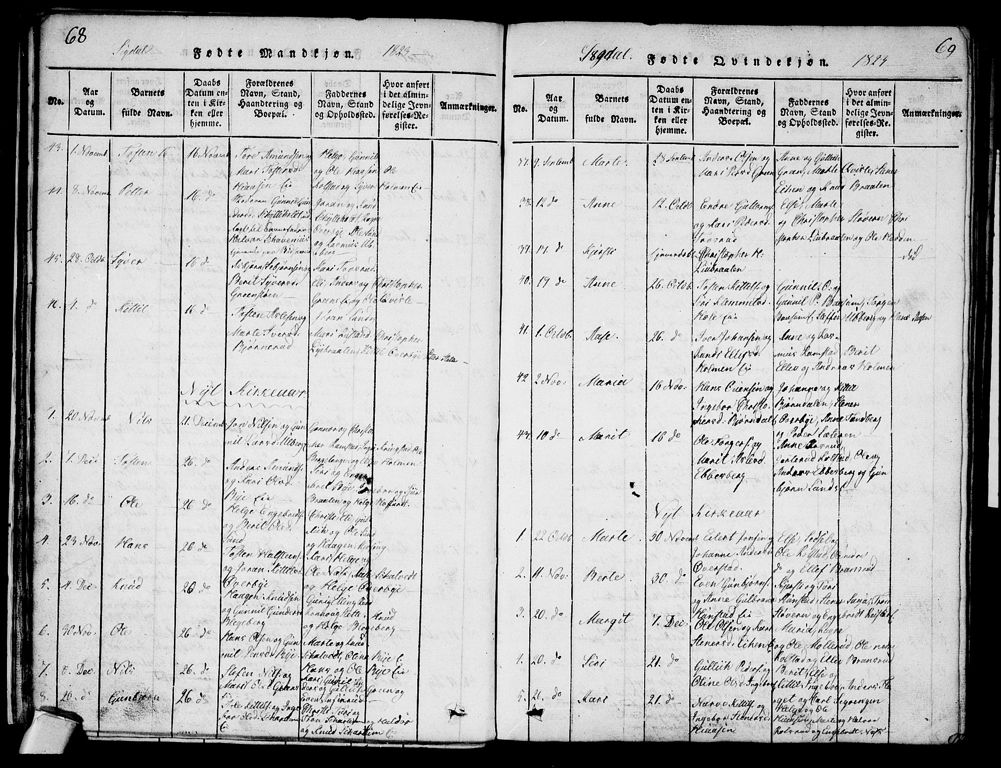 Sigdal kirkebøker, AV/SAKO-A-245/G/Ga/L0001: Parish register (copy) no. I 1 /1, 1816-1835, p. 68-69