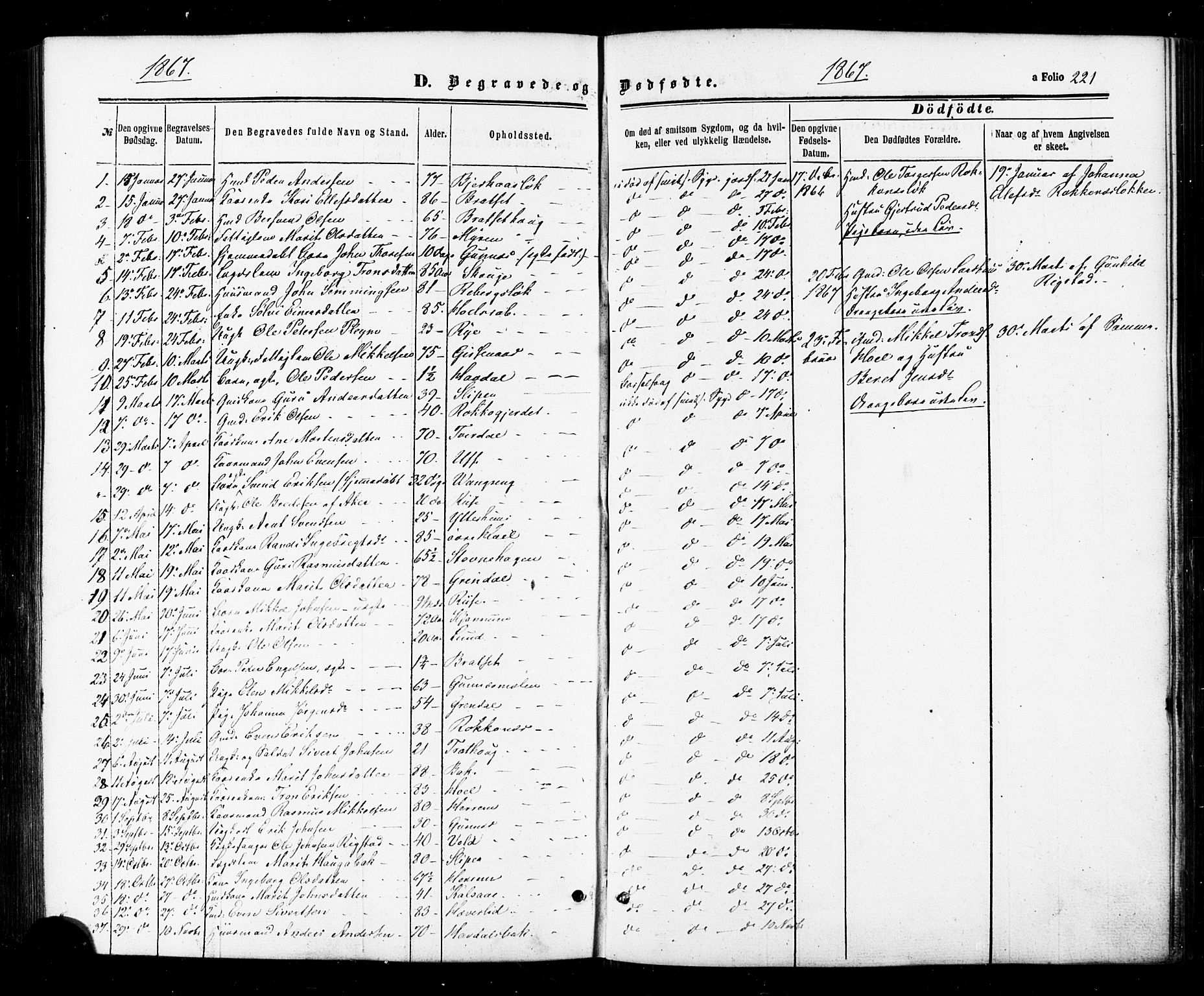Ministerialprotokoller, klokkerbøker og fødselsregistre - Sør-Trøndelag, SAT/A-1456/674/L0870: Parish register (official) no. 674A02, 1861-1879, p. 221