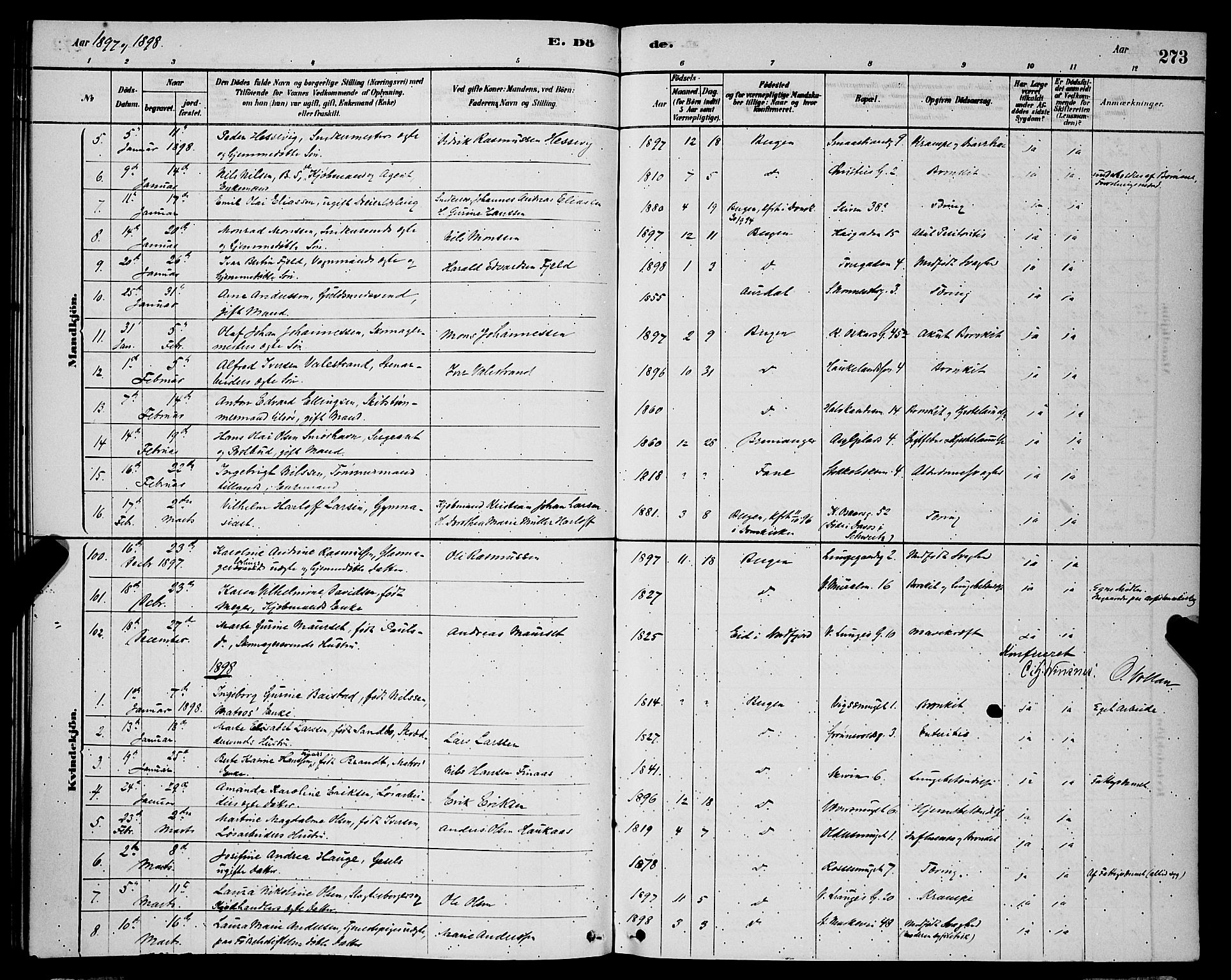 Domkirken sokneprestembete, AV/SAB-A-74801/H/Hab/L0041: Parish register (copy) no. E 5, 1878-1900, p. 273