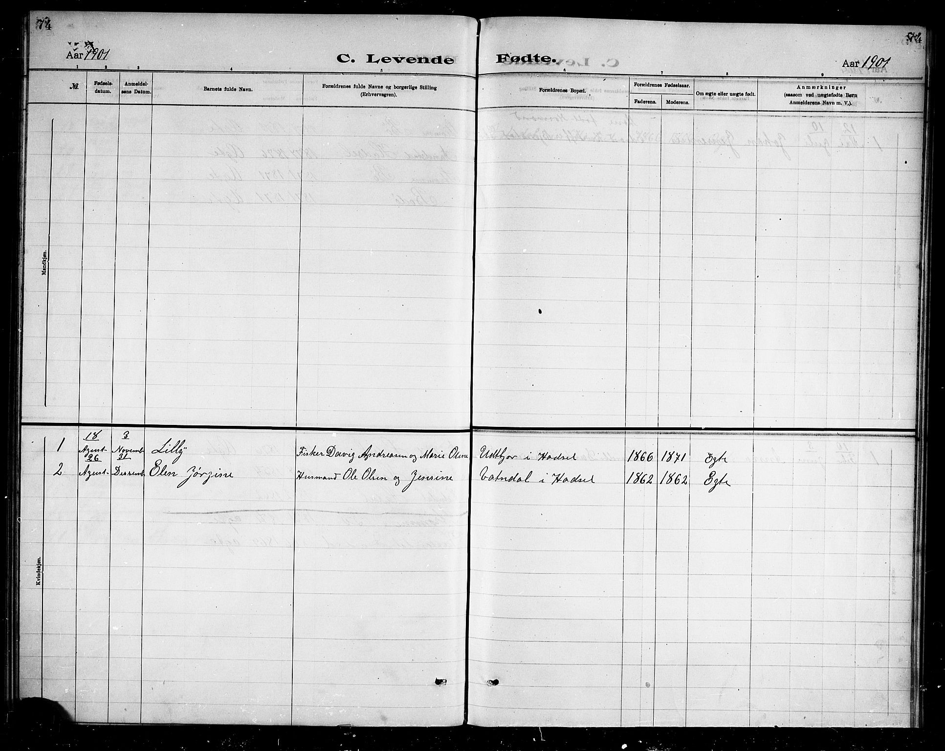Ministerialprotokoller, klokkerbøker og fødselsregistre - Nordland, SAT/A-1459/888/L1274: Dissenter register no. 888D01, 1889-1902, p. 74