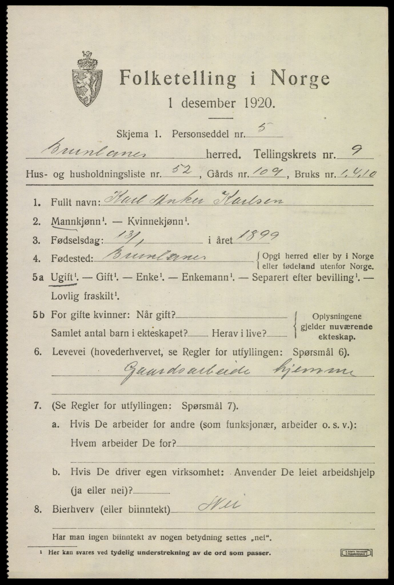 SAKO, 1920 census for Brunlanes, 1920, p. 8355