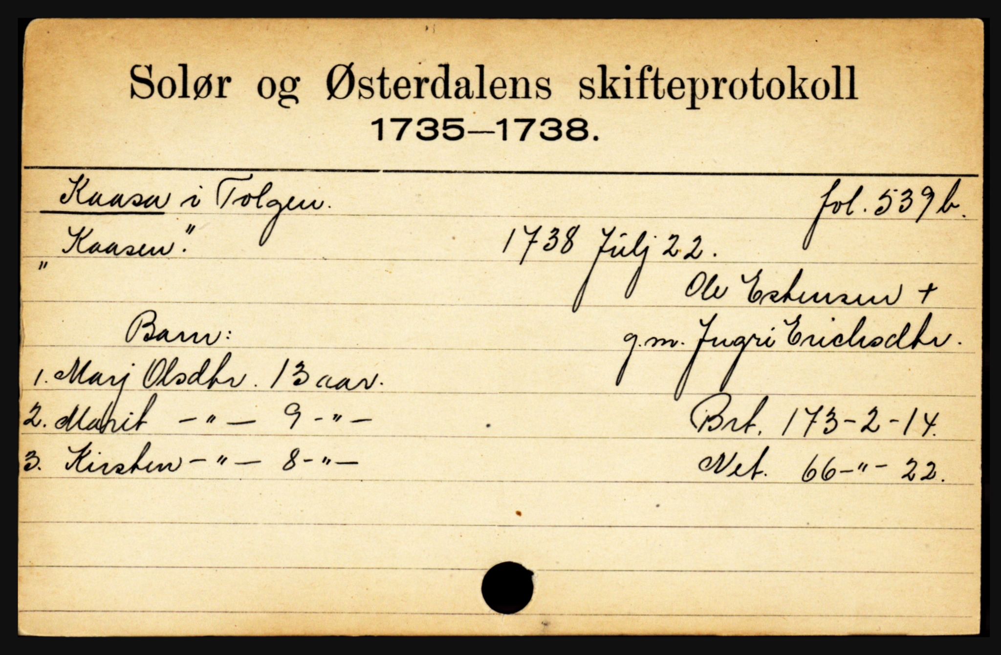Solør og Østerdalen sorenskriveri, SAH/TING-024/J, 1716-1774, p. 3293