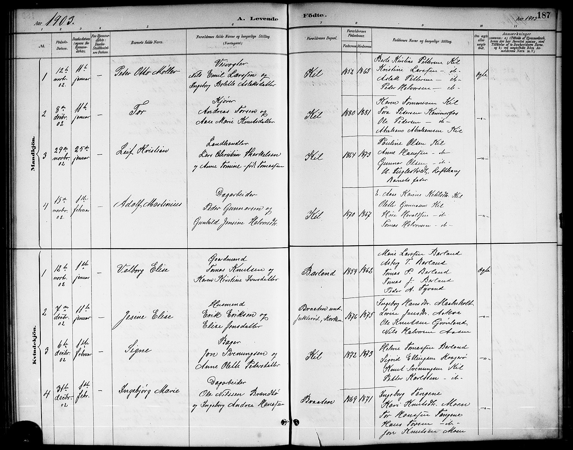 Sannidal kirkebøker, SAKO/A-296/G/Ga/L0003: Parish register (copy) no. 3, 1887-1922, p. 187