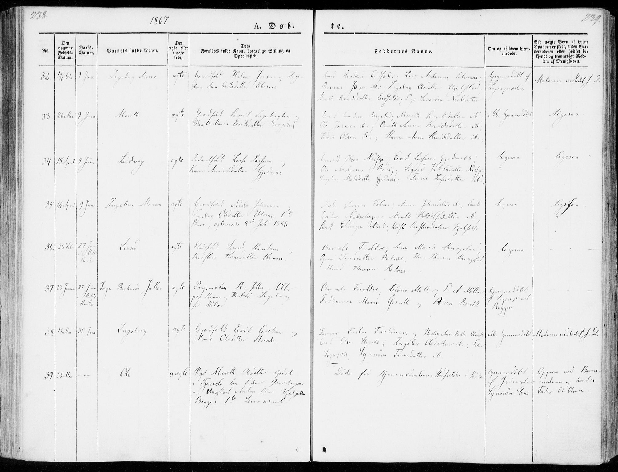 Ministerialprotokoller, klokkerbøker og fødselsregistre - Møre og Romsdal, AV/SAT-A-1454/555/L0653: Parish register (official) no. 555A04, 1843-1869, p. 238-239