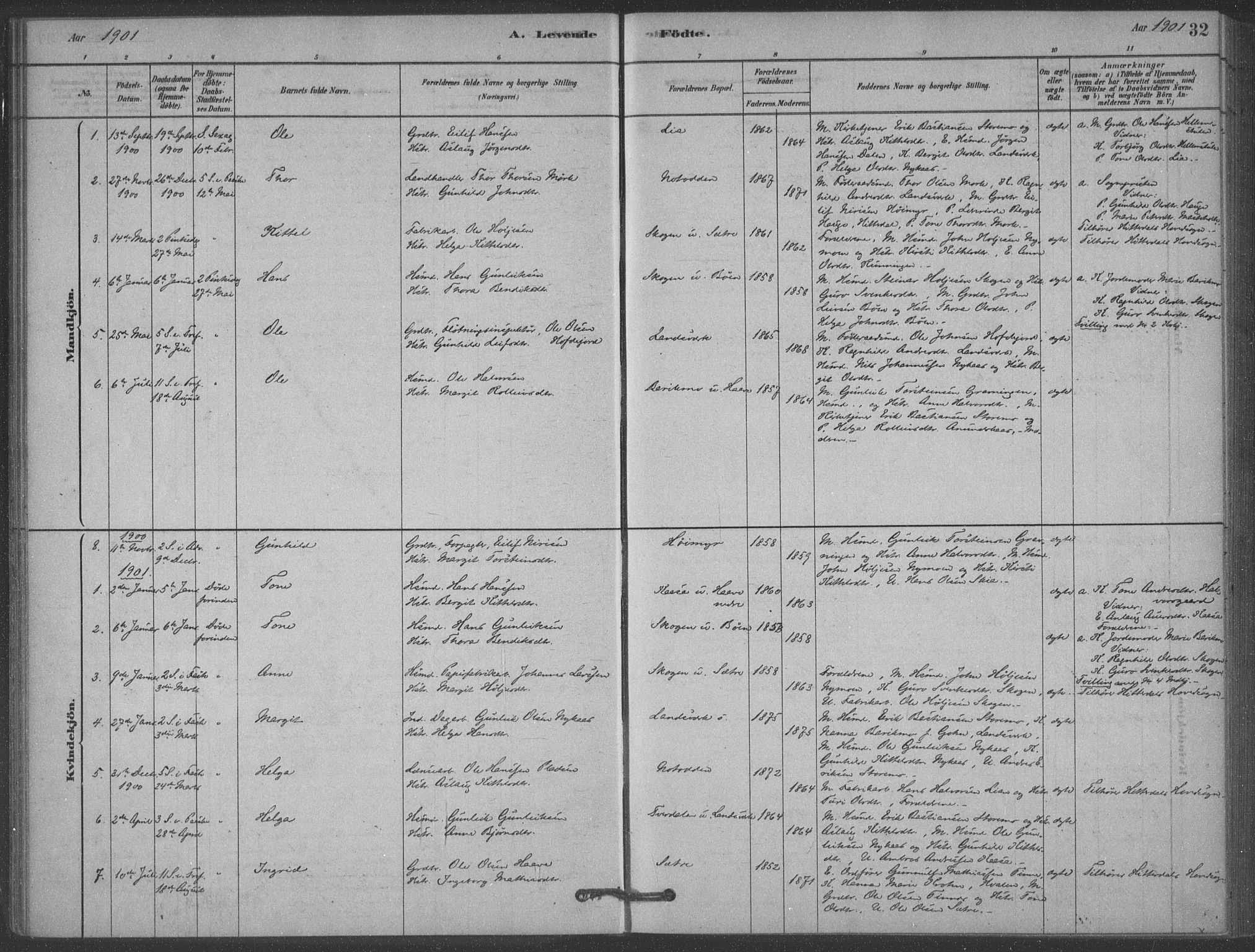 Heddal kirkebøker, SAKO/A-268/F/Fb/L0002: Parish register (official) no. II 2, 1878-1913, p. 32