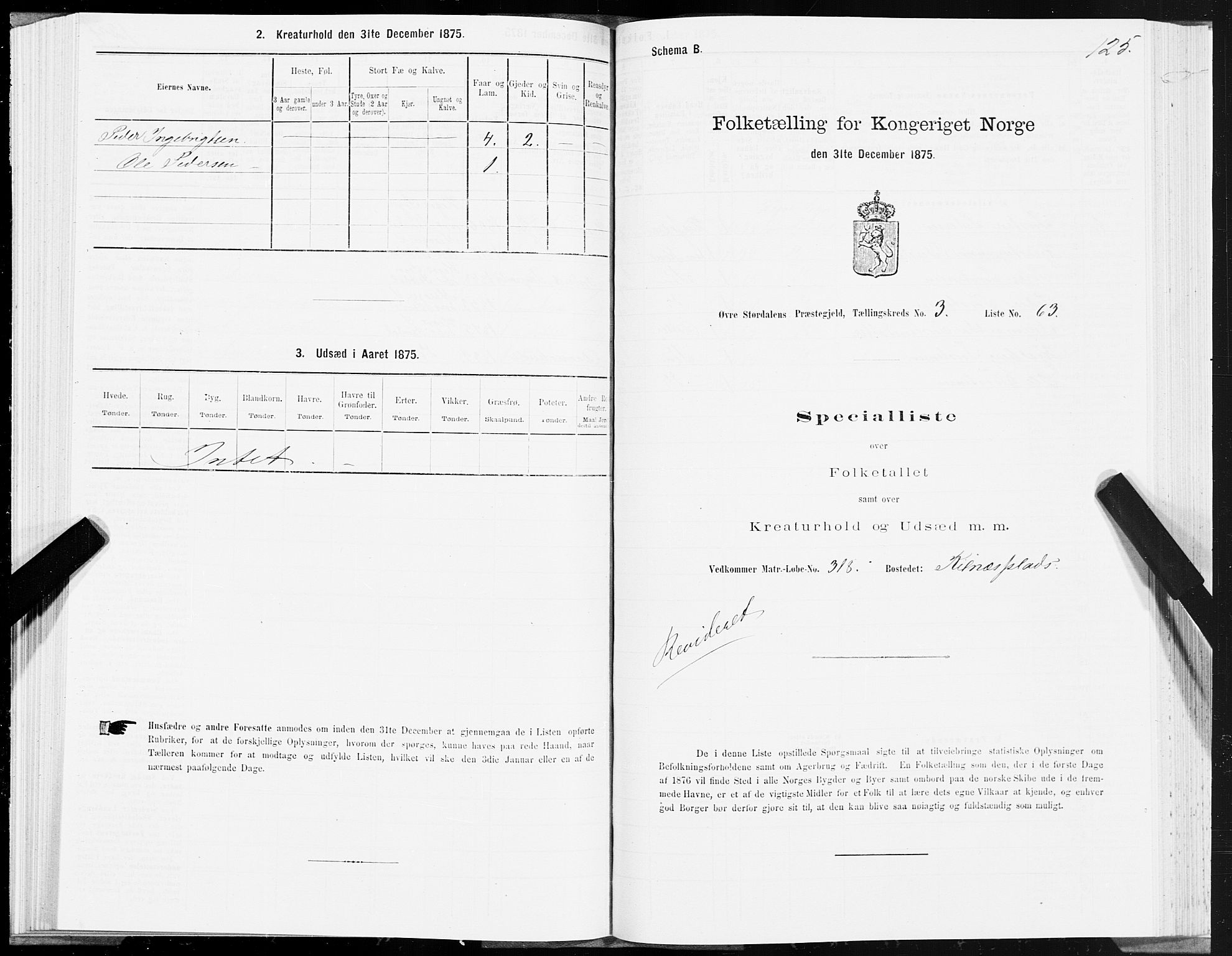 SAT, 1875 census for 1711P Øvre Stjørdal, 1875, p. 2125