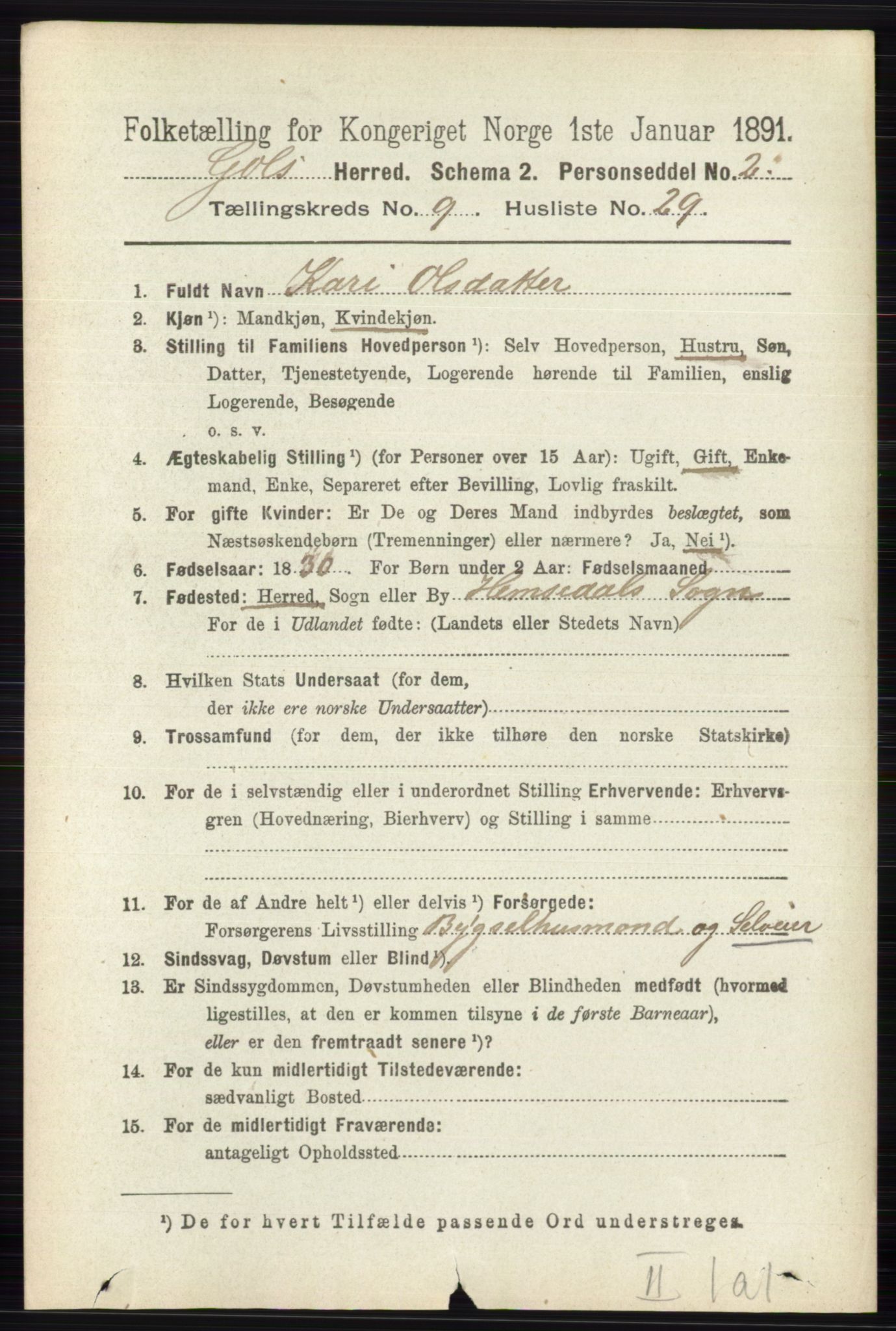 RA, 1891 census for 0617 Gol og Hemsedal, 1891, p. 3564