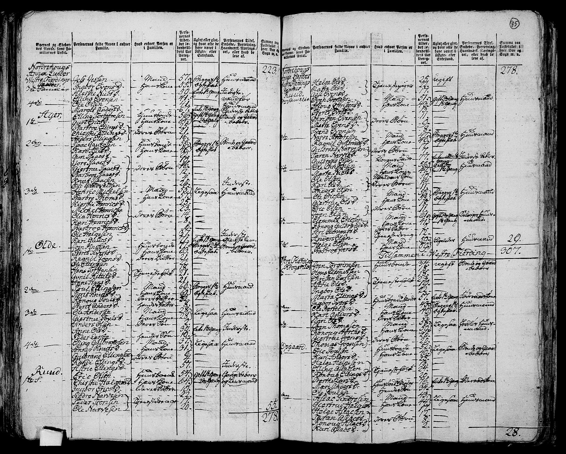 RA, 1801 census for 0613P Norderhov, 1801, p. 84b-85a