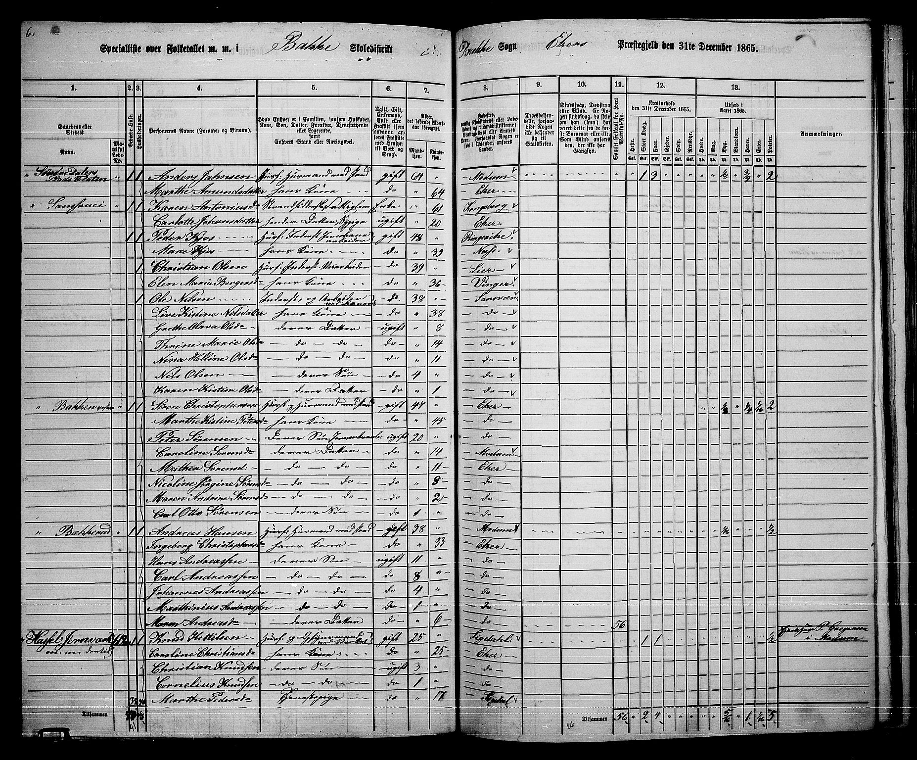 RA, 1865 census for Eiker, 1865, p. 441