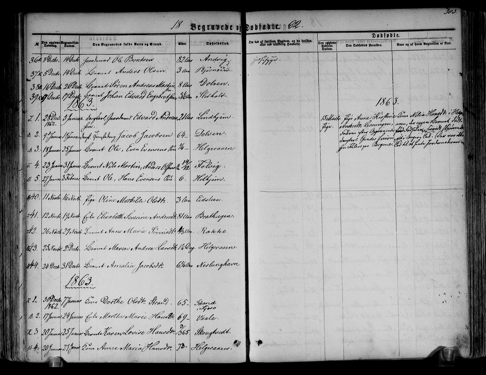 Brunlanes kirkebøker, AV/SAKO-A-342/F/Fa/L0005: Parish register (official) no. I 5, 1862-1877, p. 303