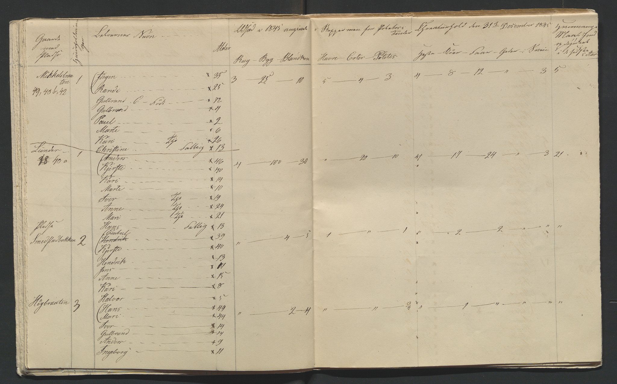 SAH, 1845 Census for Jevnaker parish, 1845, p. 17