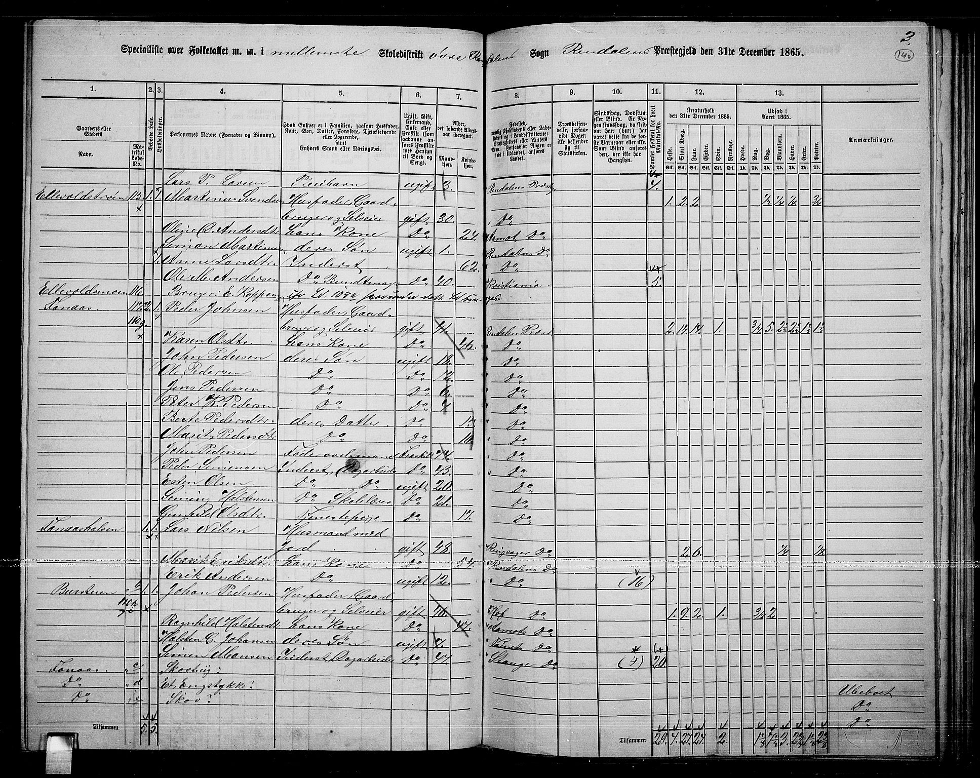 RA, 1865 census for Rendalen, 1865, p. 119