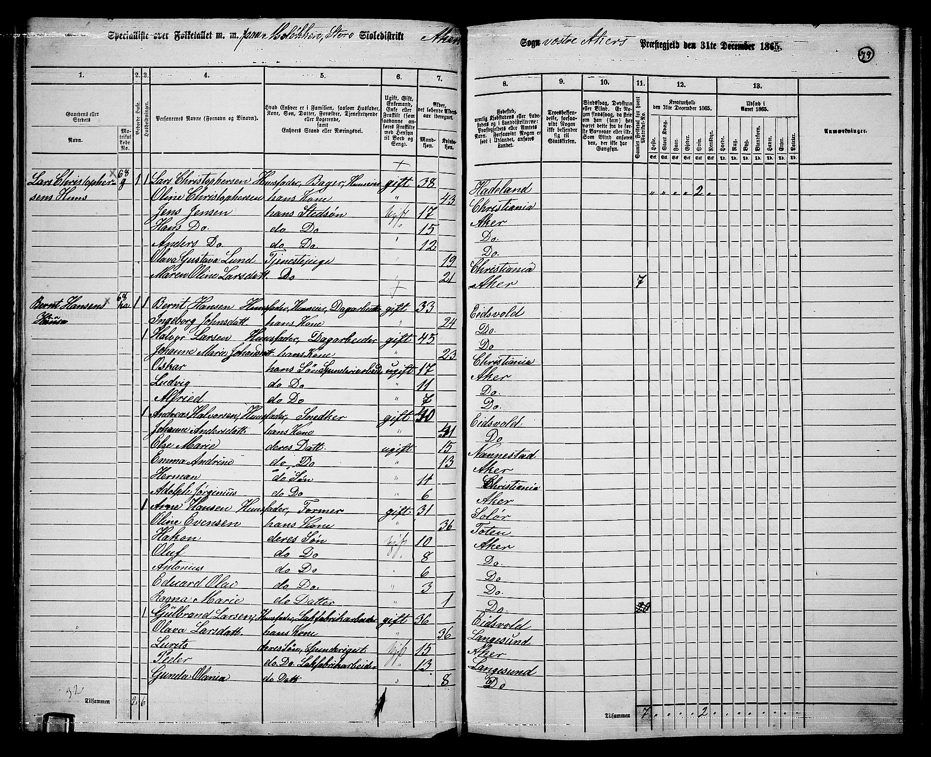 RA, 1865 census for Vestre Aker, 1865, p. 247