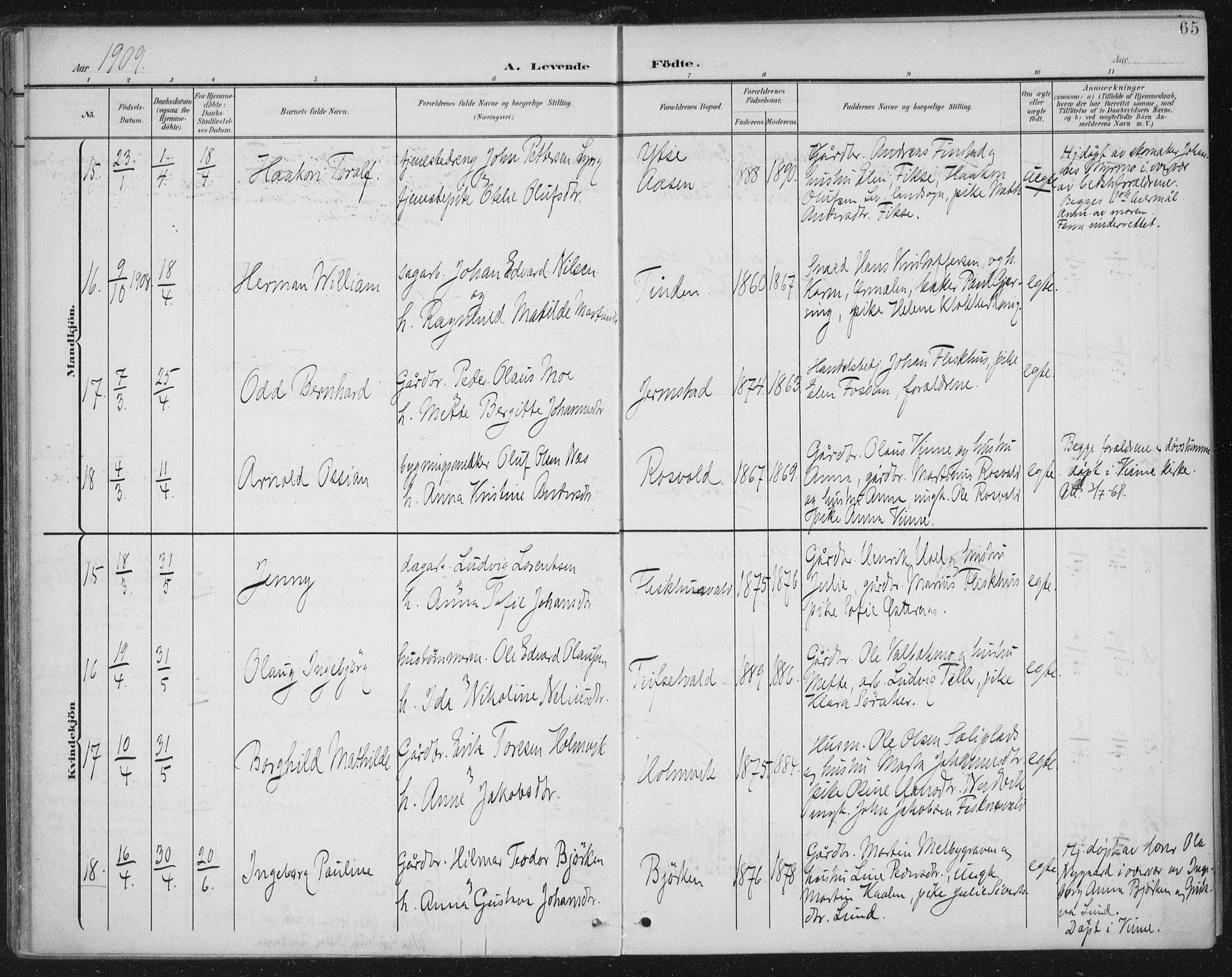 Ministerialprotokoller, klokkerbøker og fødselsregistre - Nord-Trøndelag, AV/SAT-A-1458/723/L0246: Parish register (official) no. 723A15, 1900-1917, p. 65