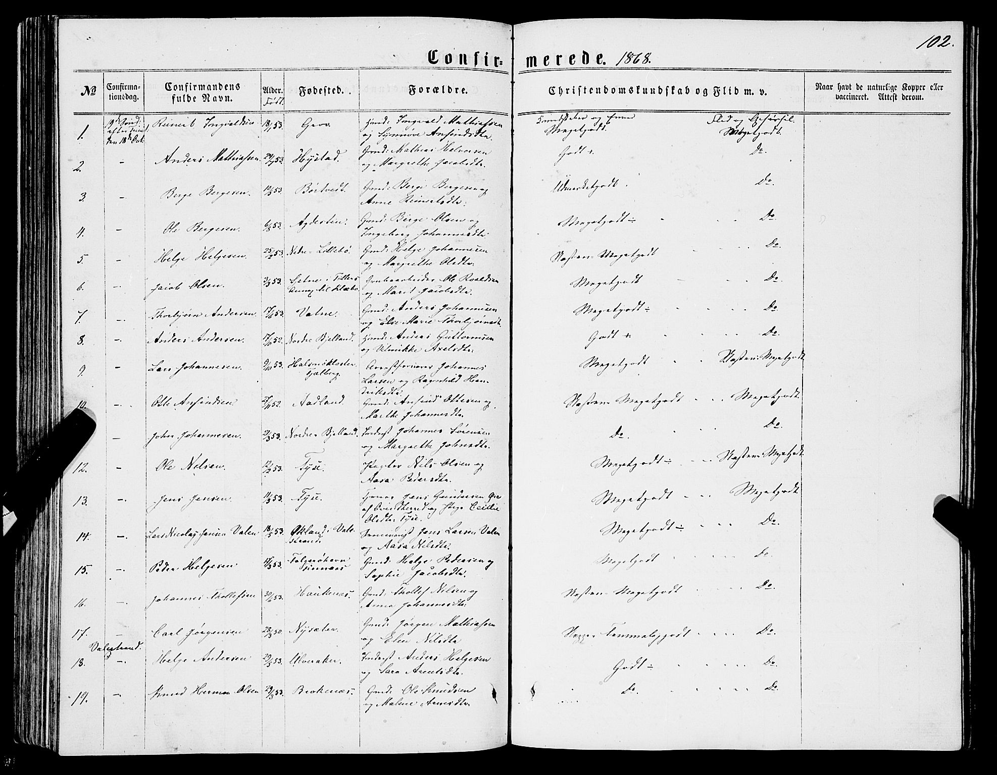 Stord sokneprestembete, AV/SAB-A-78201/H/Haa: Parish register (official) no. B 1, 1862-1877, p. 102