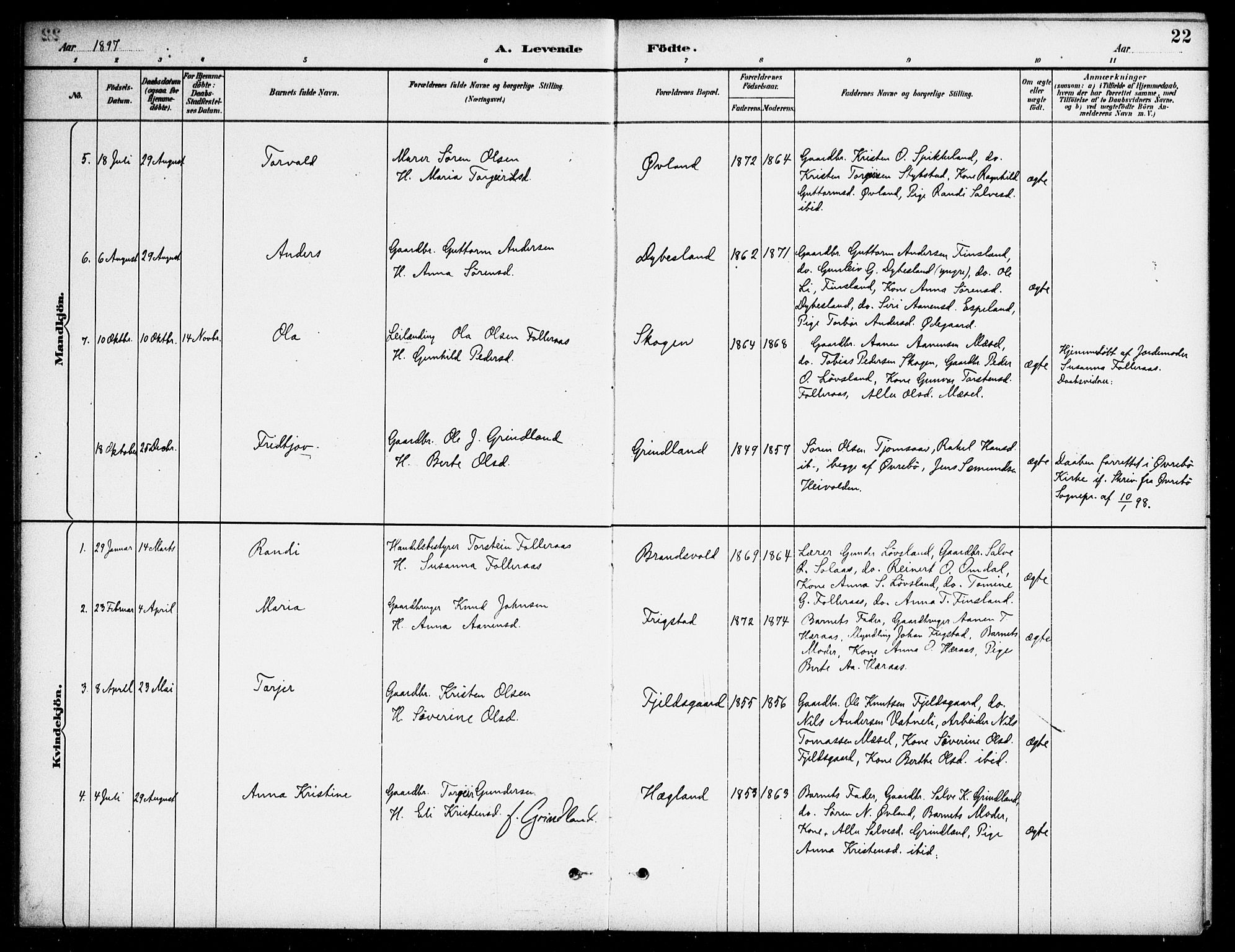 Bjelland sokneprestkontor, AV/SAK-1111-0005/F/Fa/Fab/L0004: Parish register (official) no. A 4, 1887-1920, p. 22